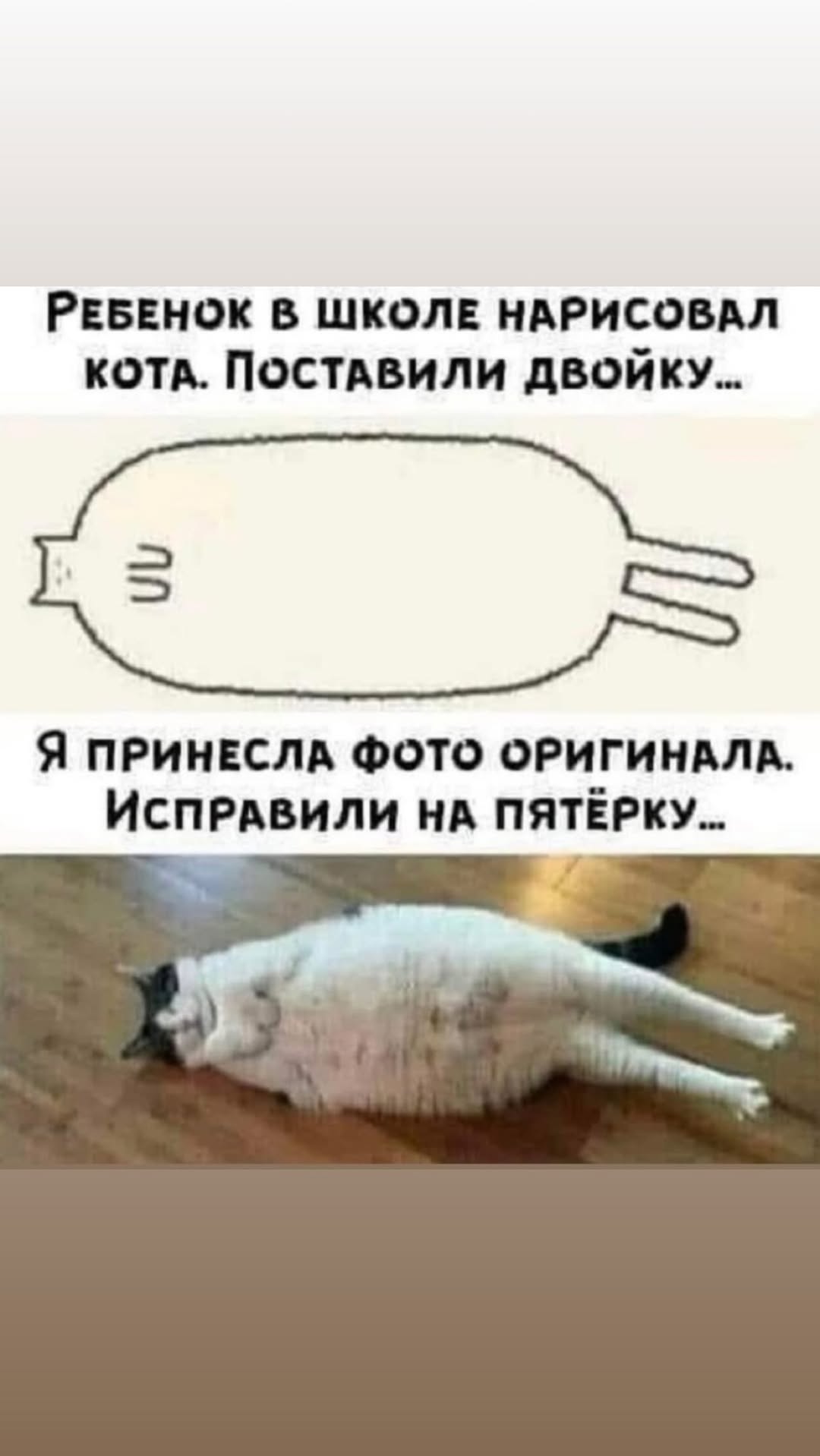 новая фото в сторис @subbotinadasha 02.11.2025