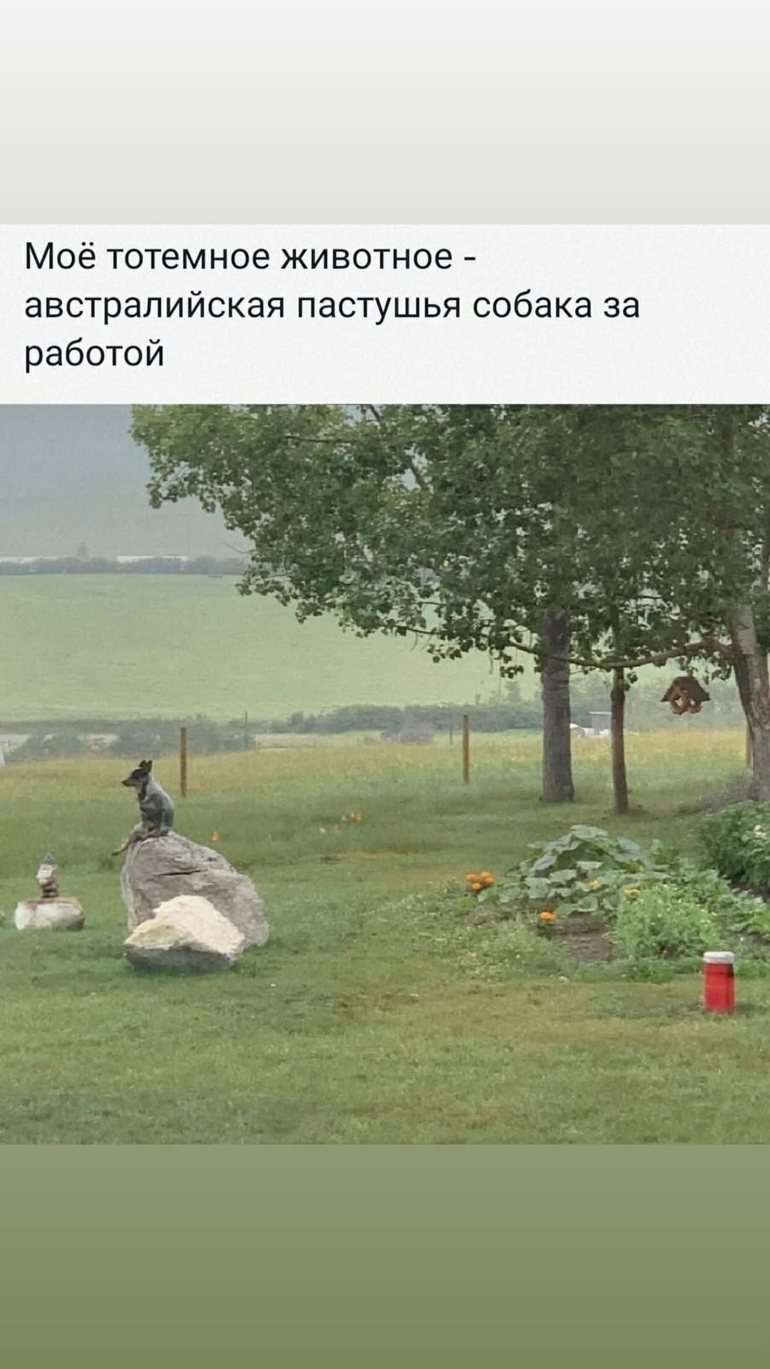 новая фото в сторис @subbotinadasha 02.11.2025