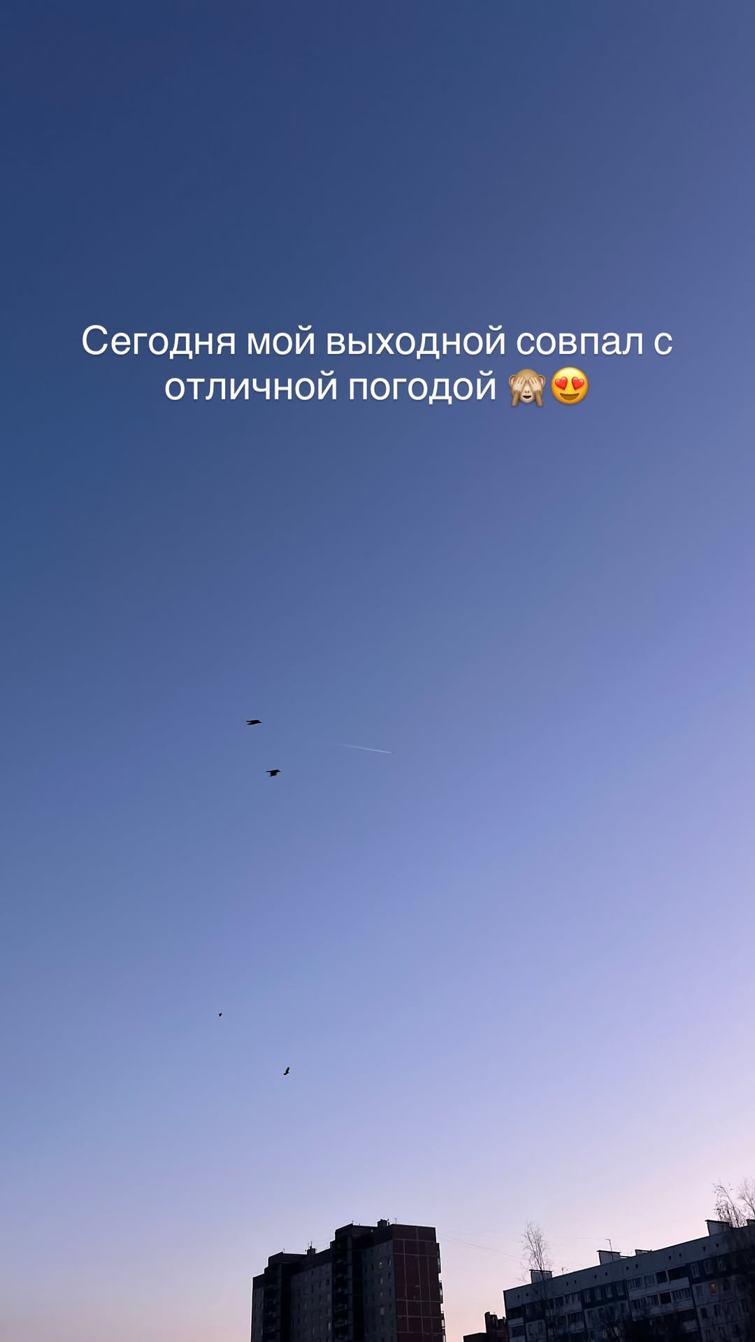 новая фото в сторис @d_stepanovaa 05.11.2025