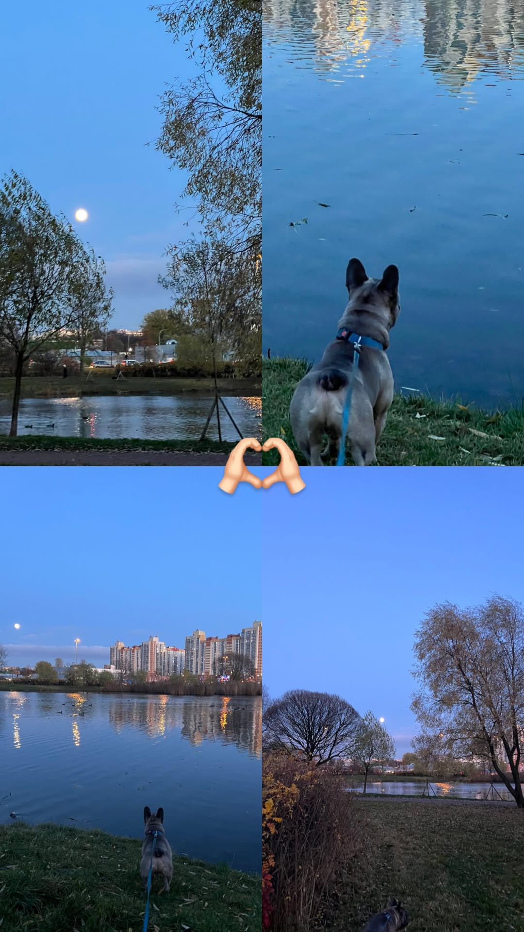 новая фото в сторис @d_stepanovaa 05.11.2025