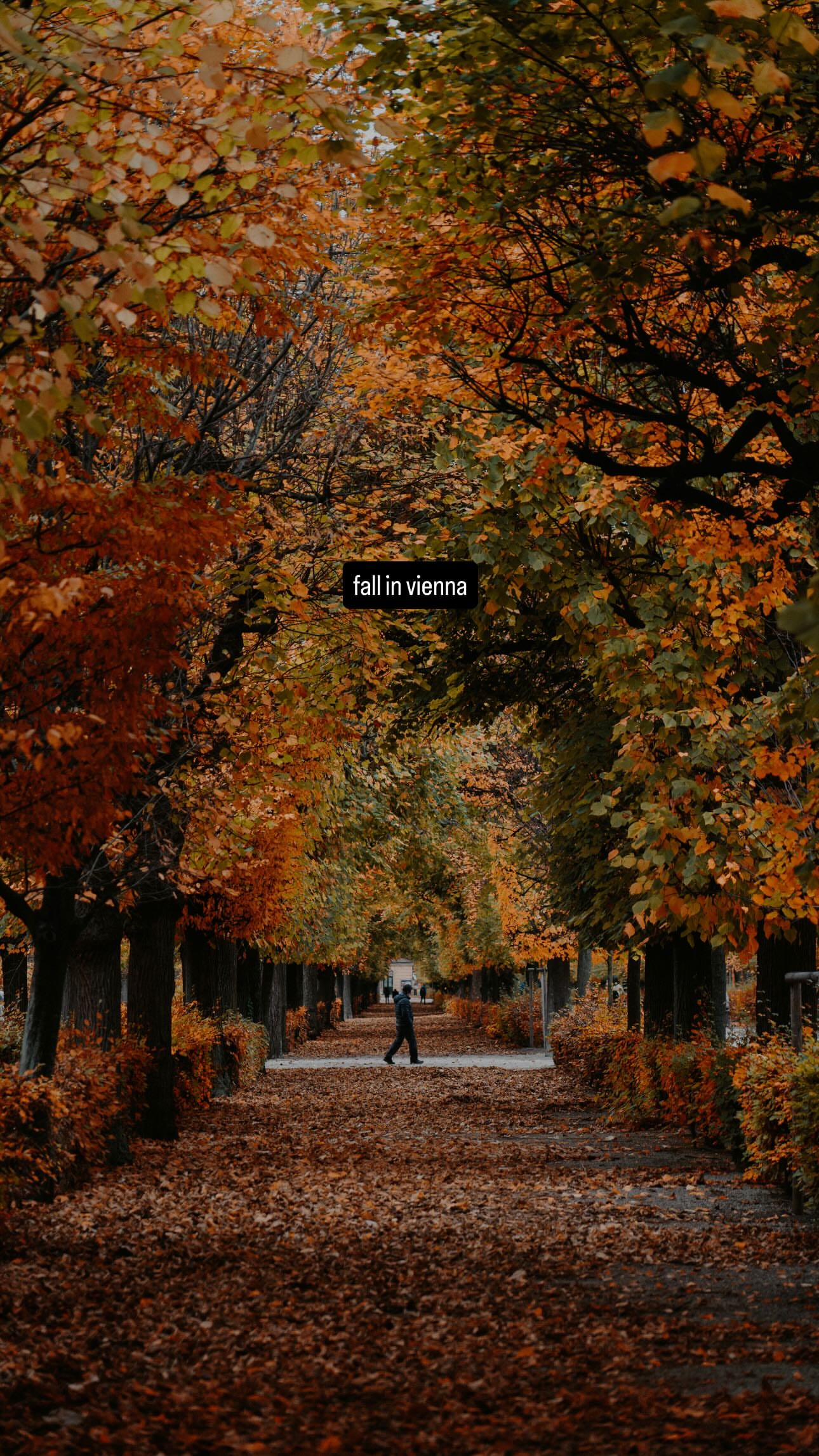 новая фото в сторис @about.vlad 06.11.2025