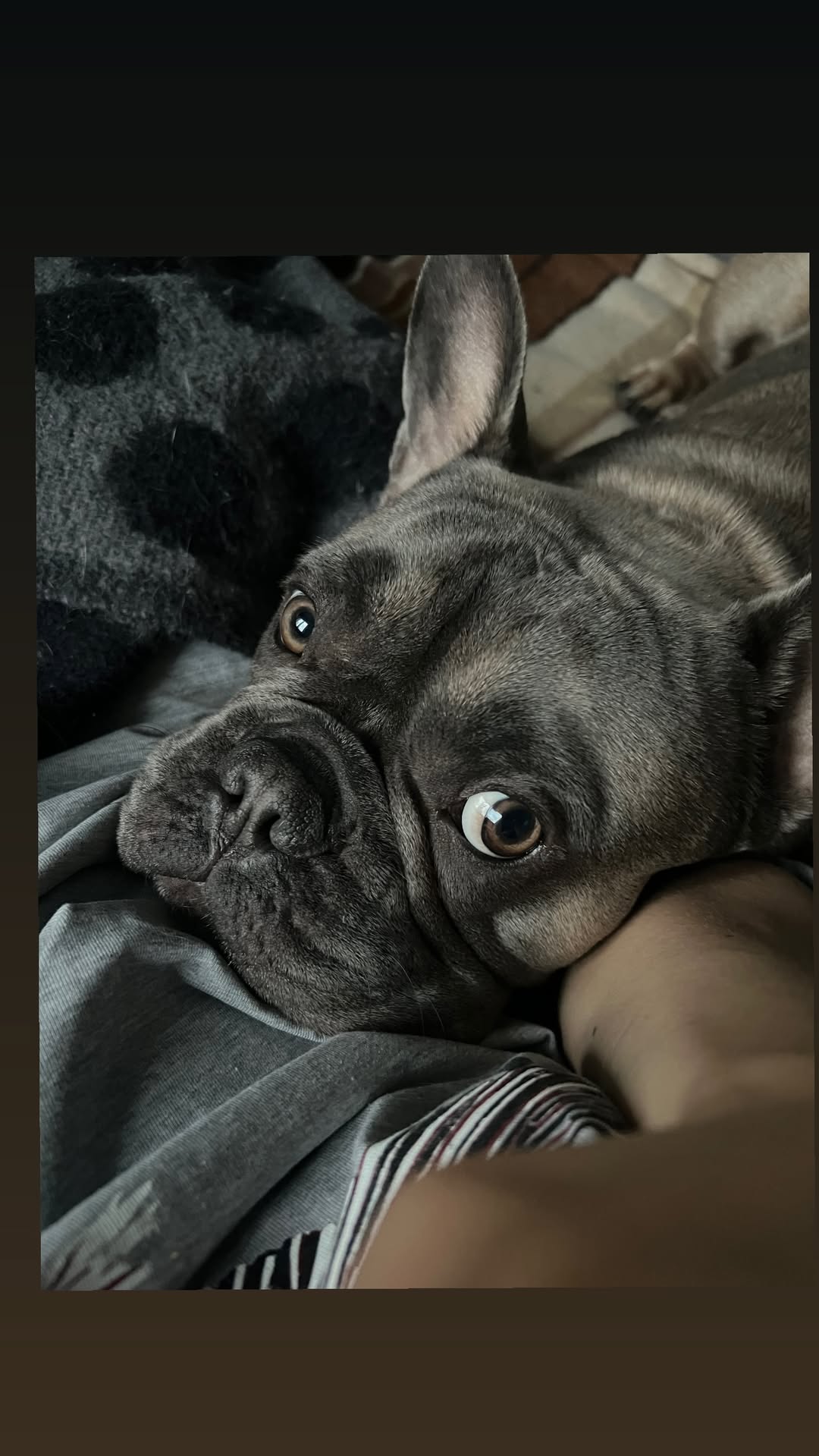 новая фото в сторис @d_stepanovaa 11.11.2025