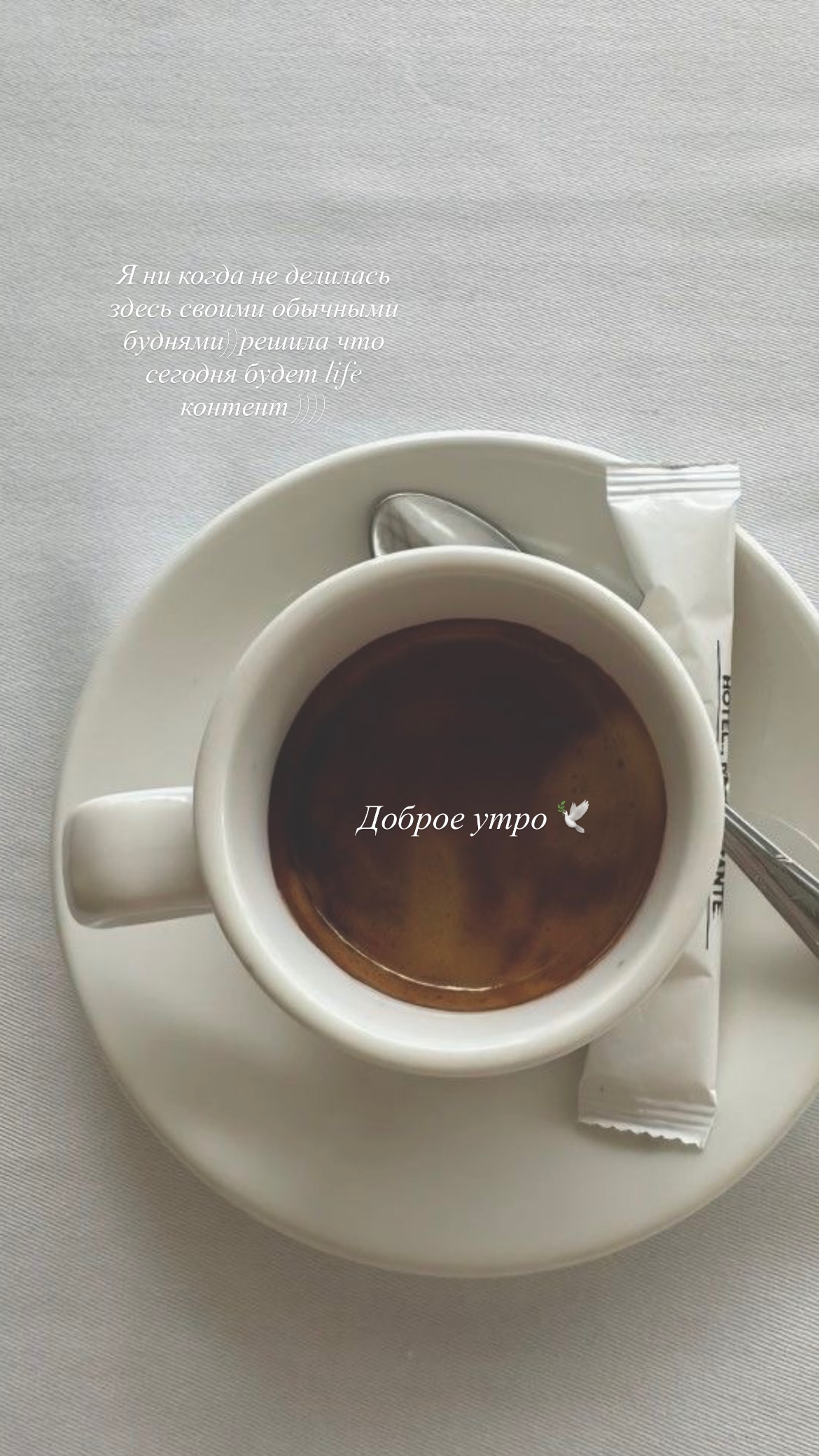 новая фото в сторис @__alasheeva__o.a.__ 19.11.2025