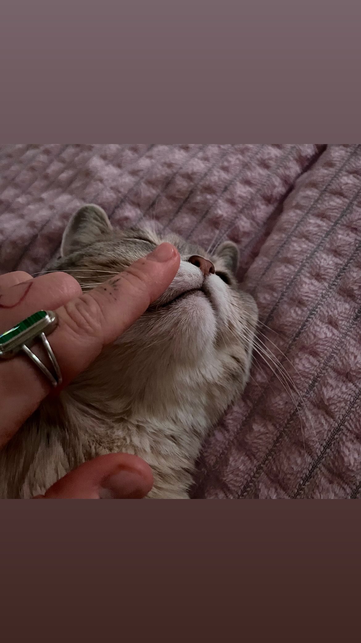 новая фото в сторис @lerabog96 04.12.2025