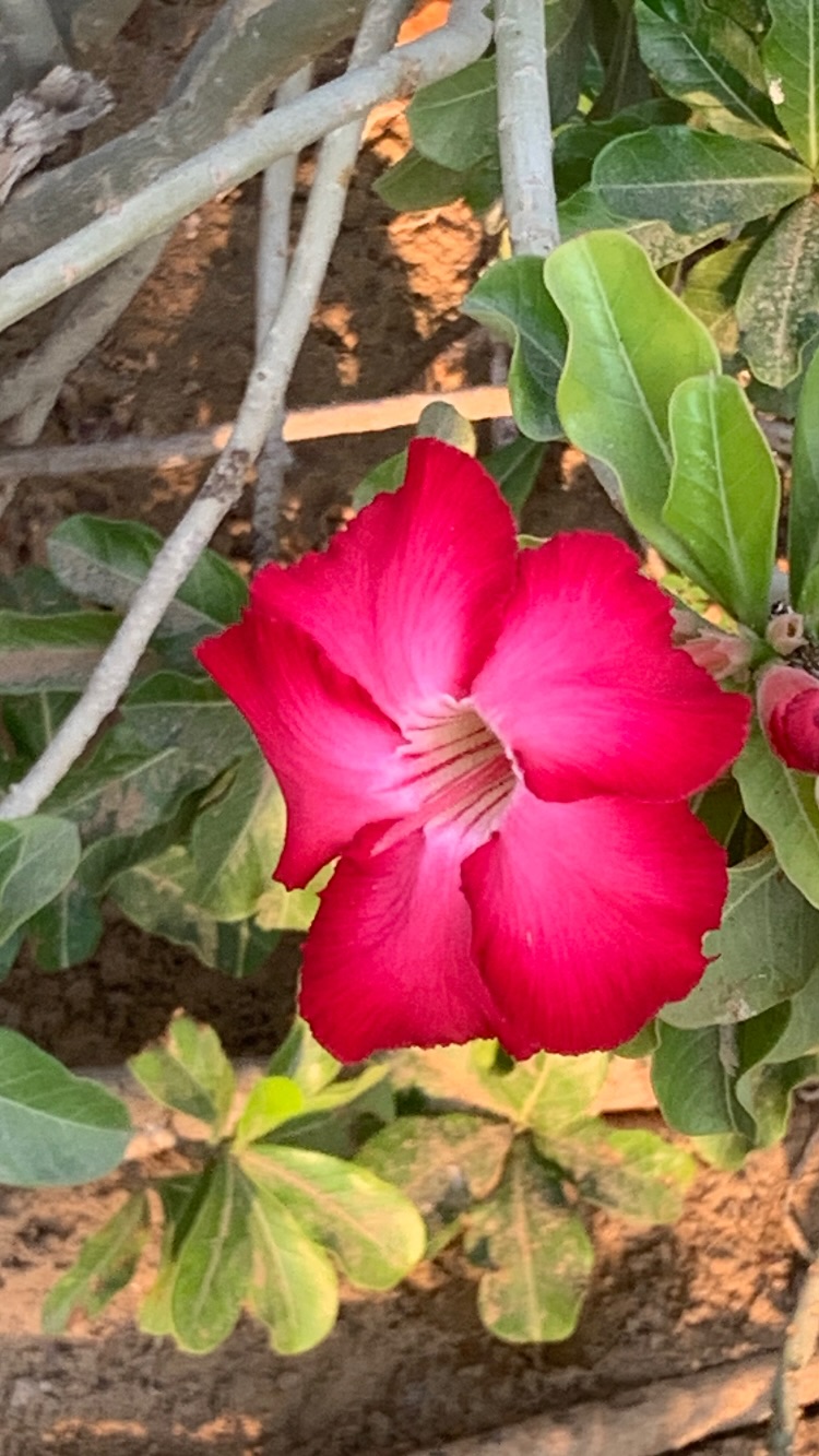 новая фото в сторис @gamidi_stydio 04.12.2025