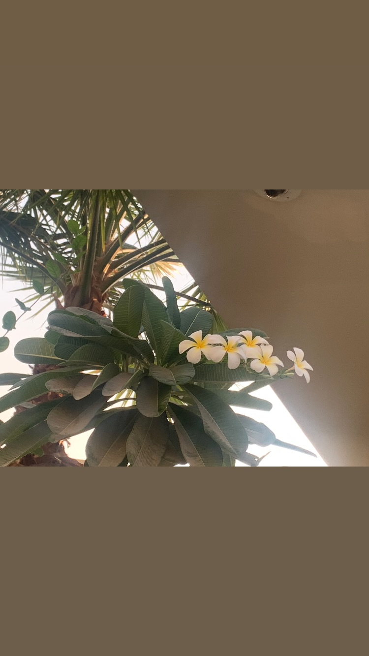 новая фото в сторис @gamidi_stydio 04.12.2025