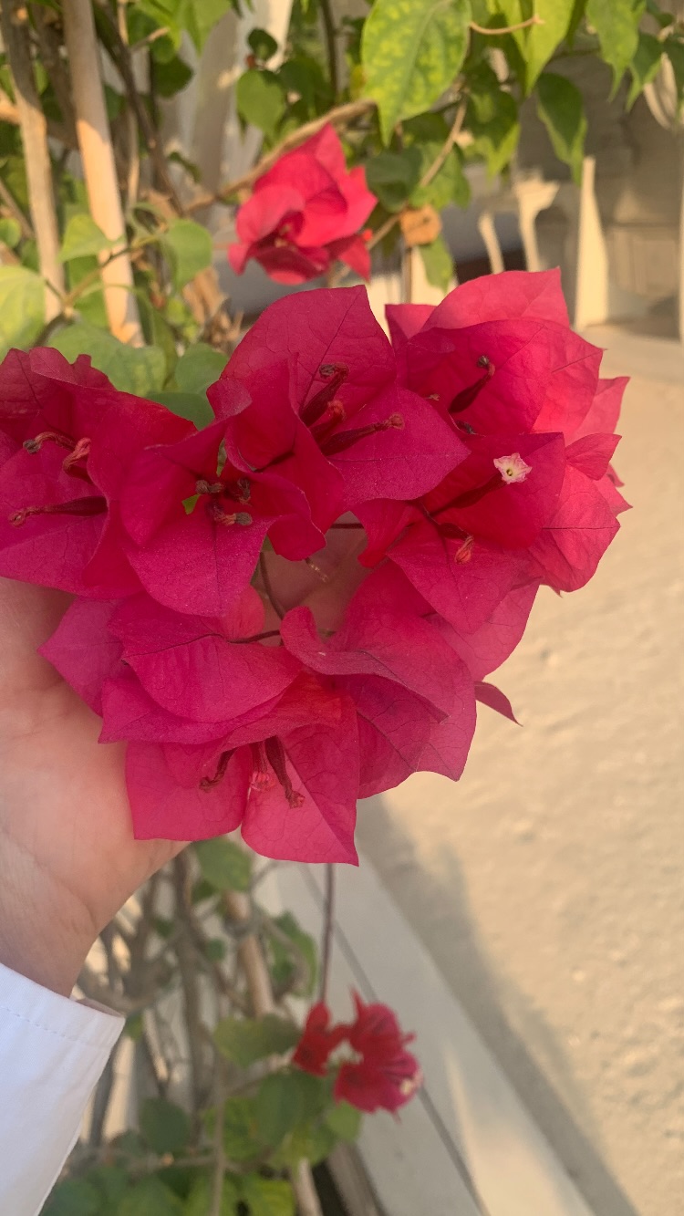 новая фото в сторис @gamidi_stydio 04.12.2025