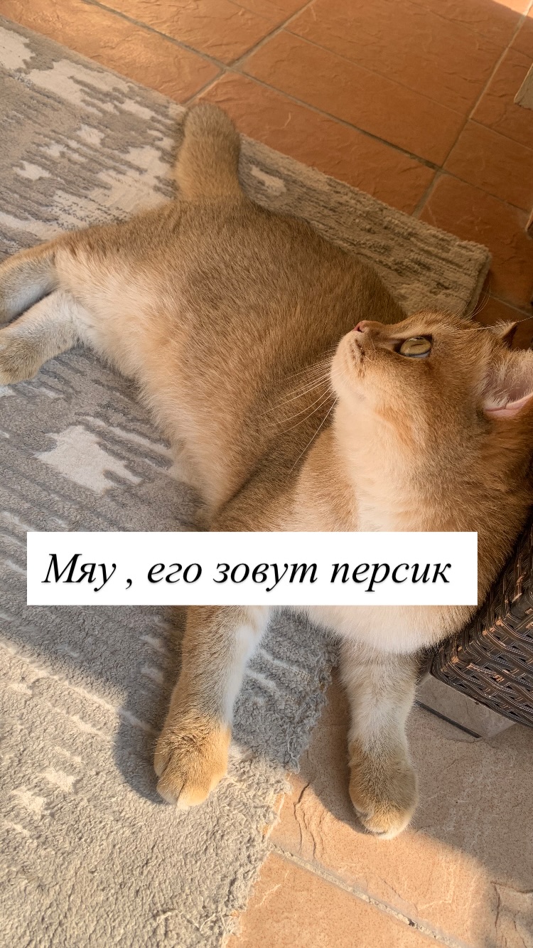 новая фото в сторис @gamidi_stydio 04.12.2025