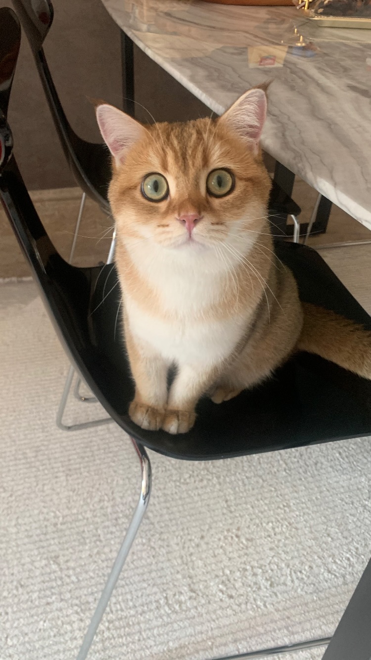 новая фото в сторис @gamidi_stydio 04.12.2025