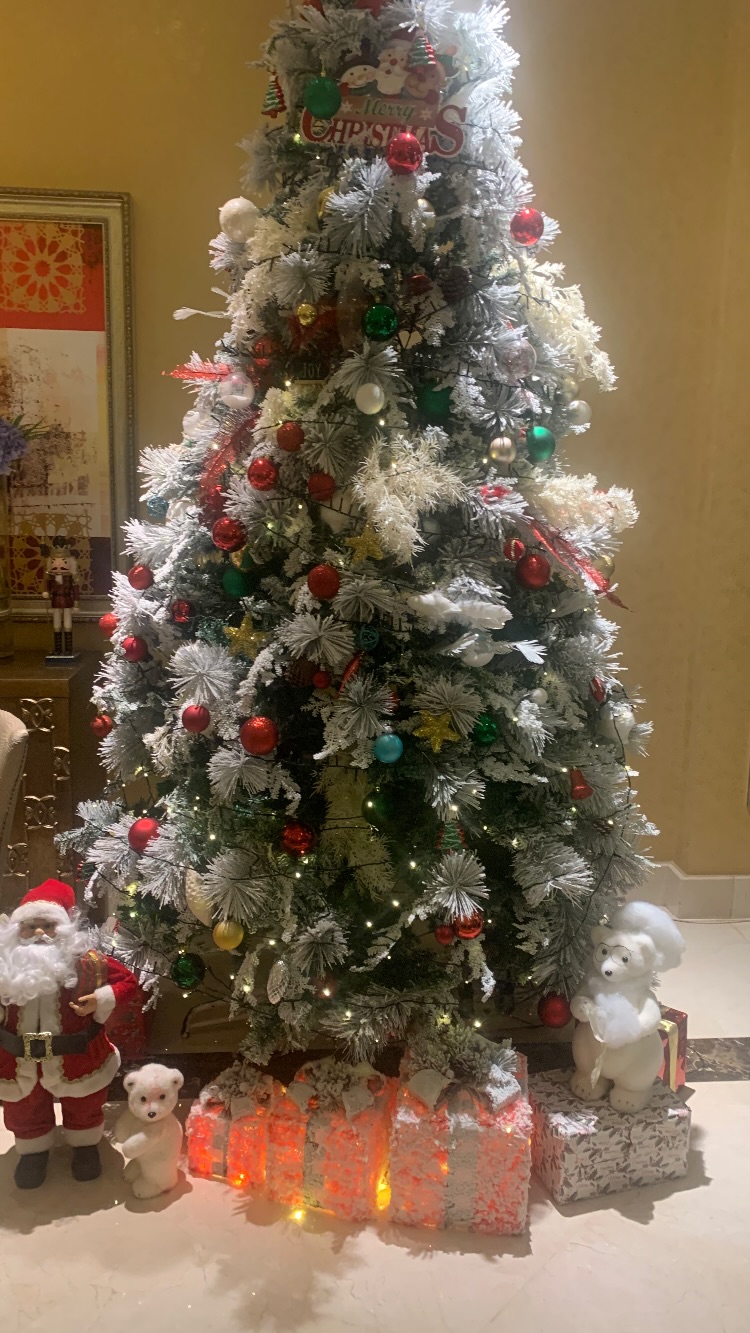 новая фото в сторис @gamidi_stydio 04.12.2025