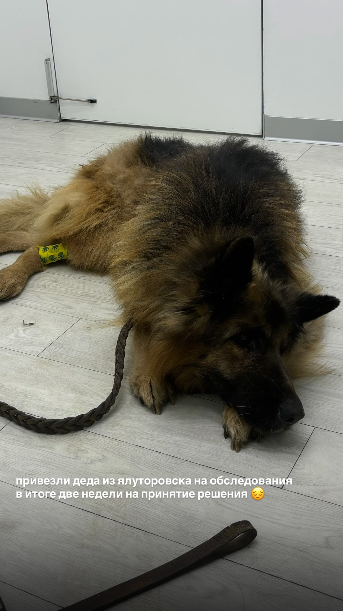 новая фото в сторис @l.olya 13.12.2025