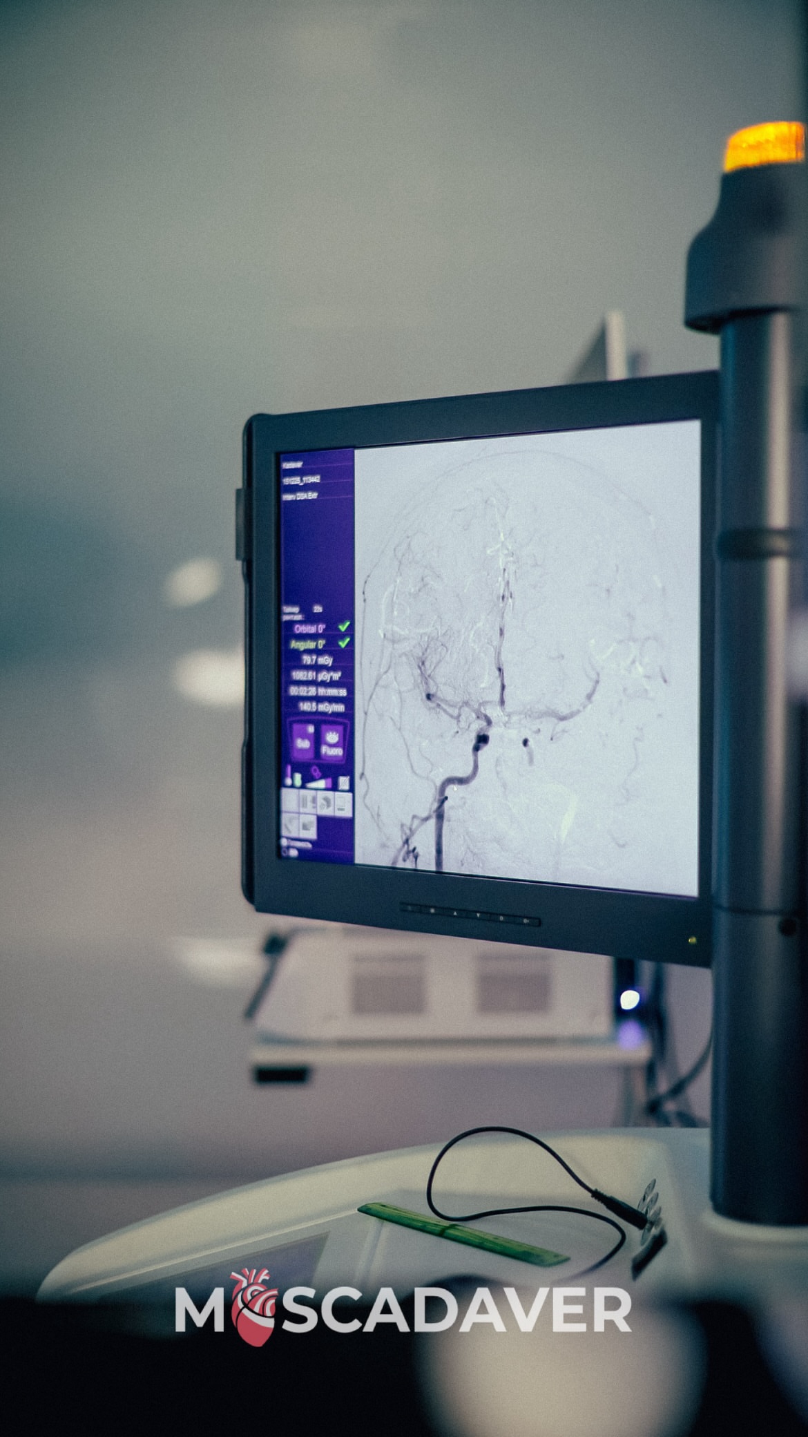 новая фото в сторис @moscadaver 15.12.2025