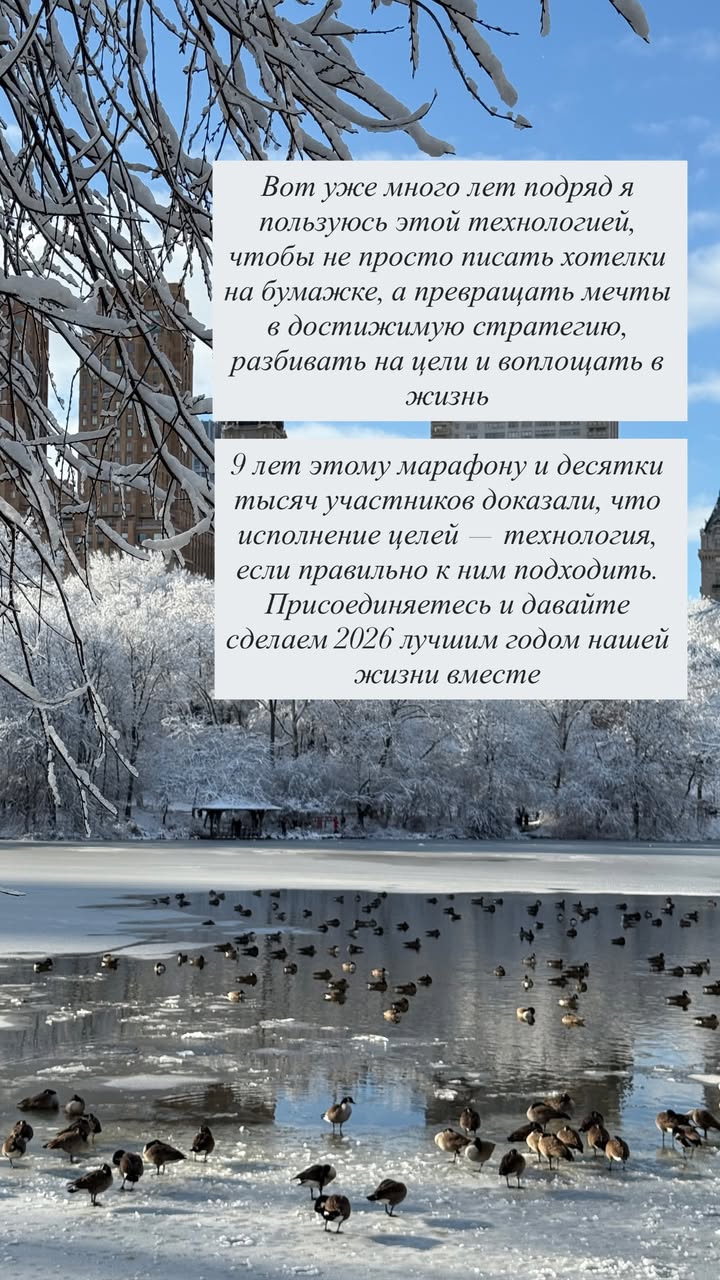 новая фото в сторис @mariyasolodar 16.12.2025