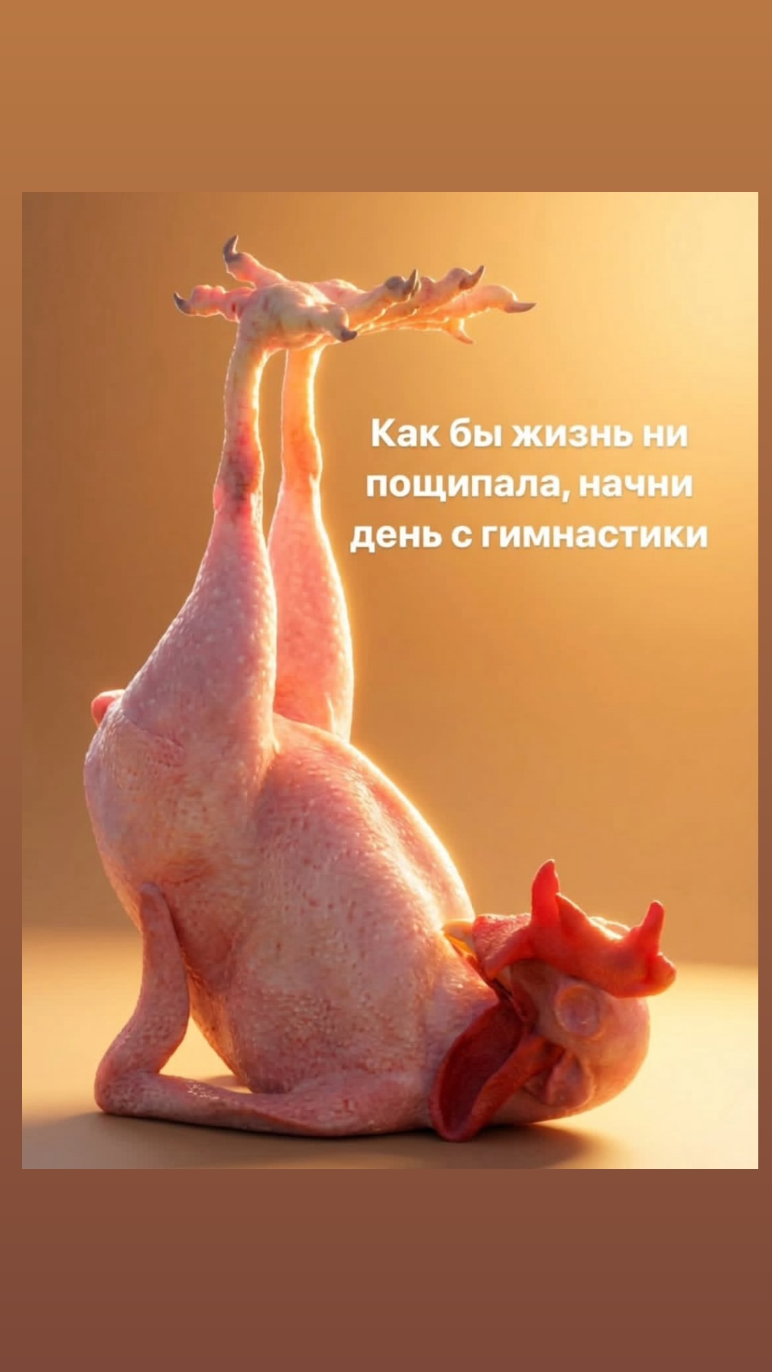 новая фото в сторис @vio_foto 18.12.2025