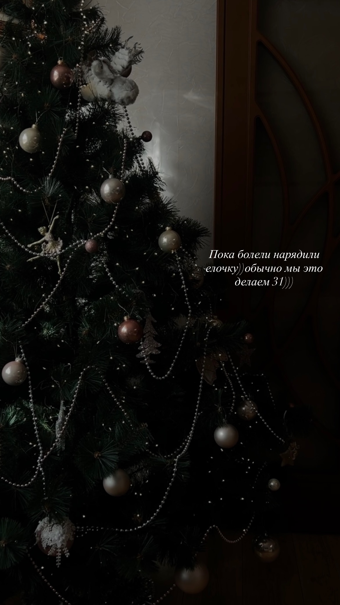 новая фото в сторис @__alasheeva__o.a.__ 19.12.2025