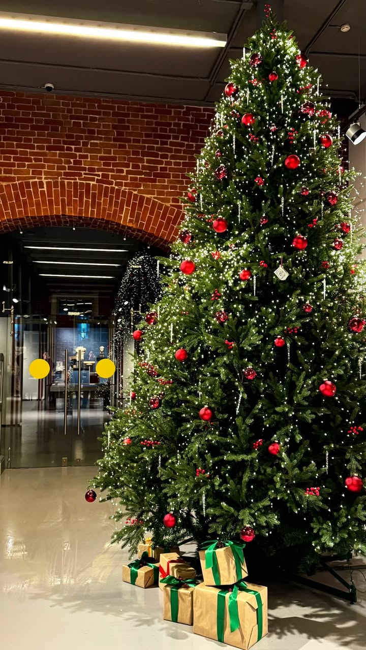 новая фото в сторис @tatyana.ezhkova 21.12.2025