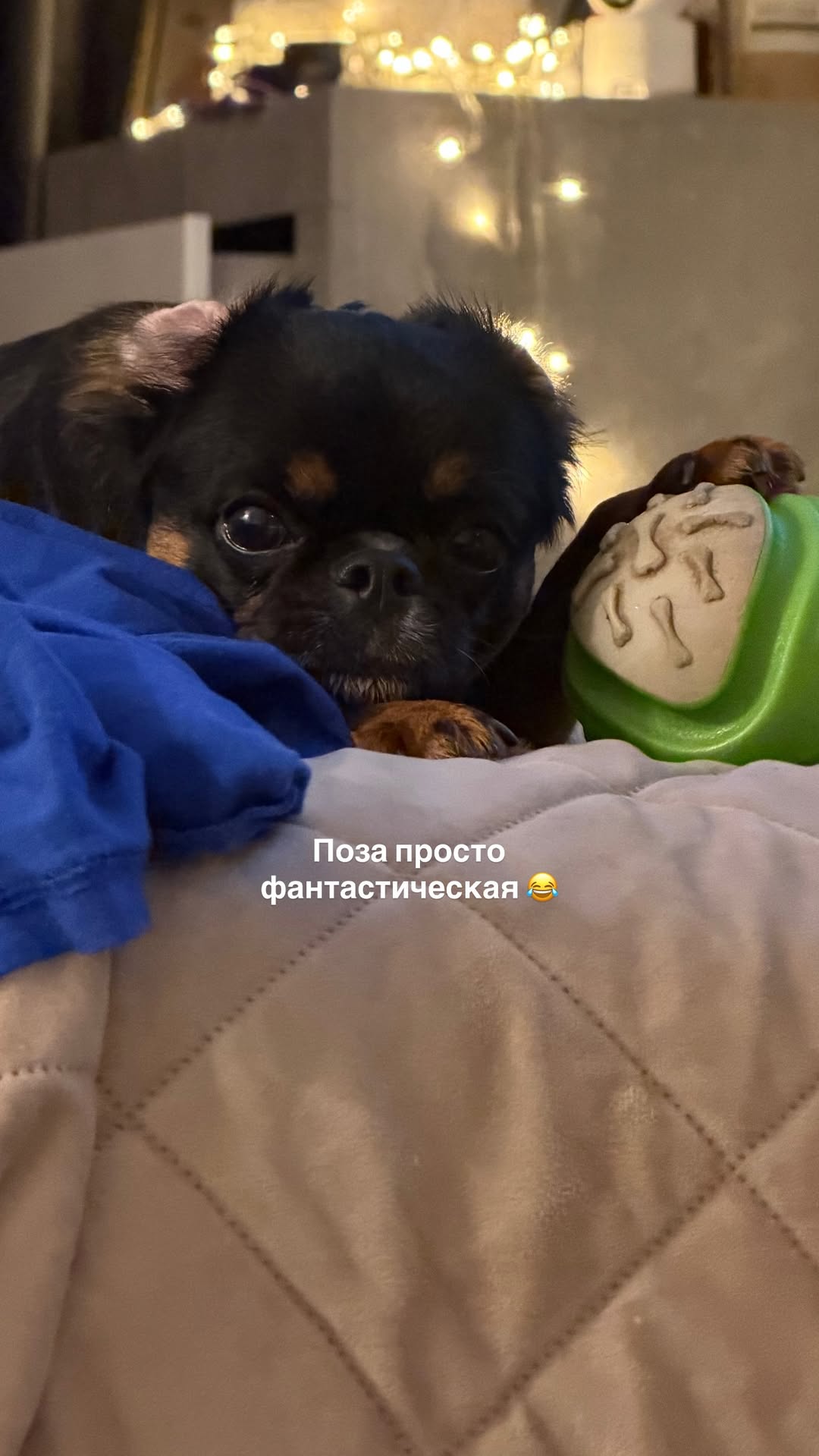 новая фото в сторис @alleksasa 21.12.2025