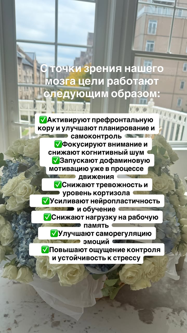 новая фото в сторис @mariyasolodar 21.12.2025