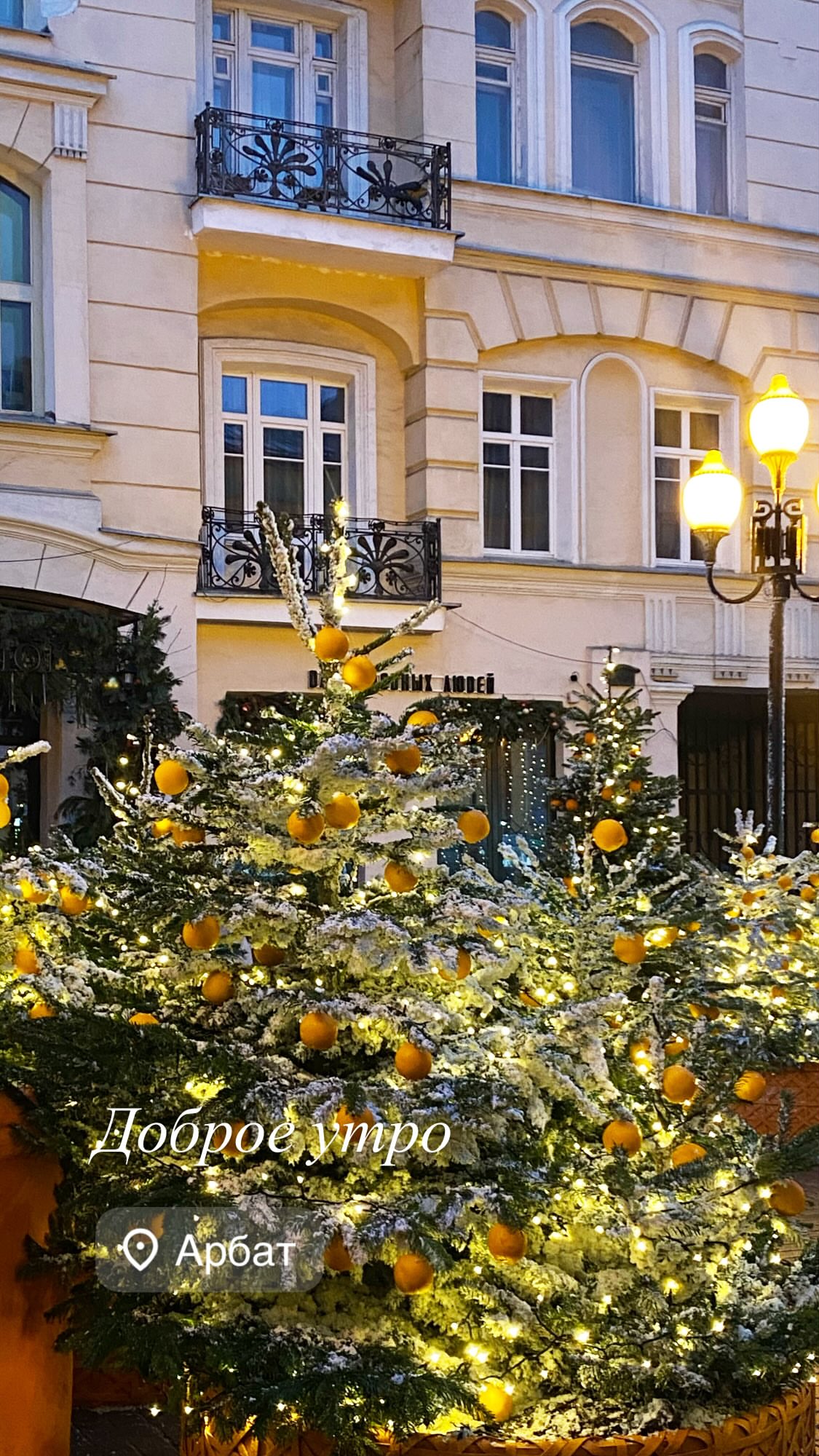 новая фото в сторис @troyanova.alexandra 22.12.2025