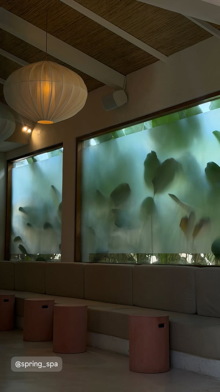 новая фото в сторис @katrin_rozen 24.12.2025