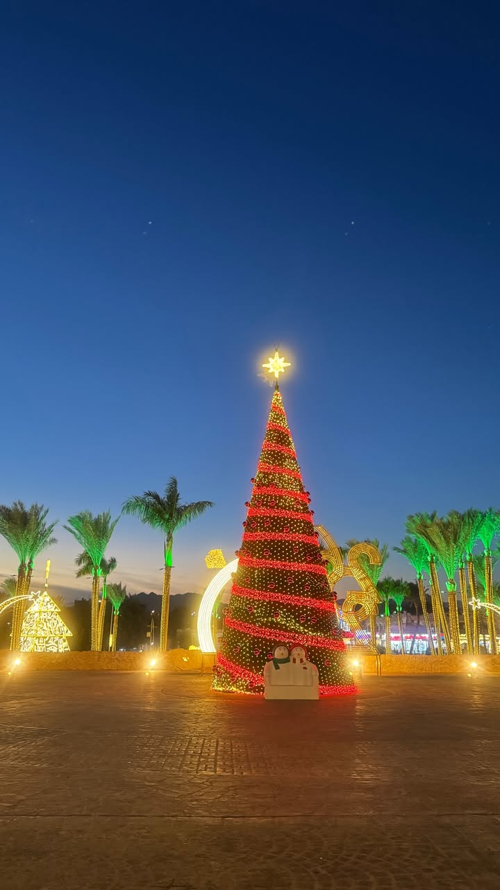 новая фото в сторис @radakaeva.fn 25.12.2025
