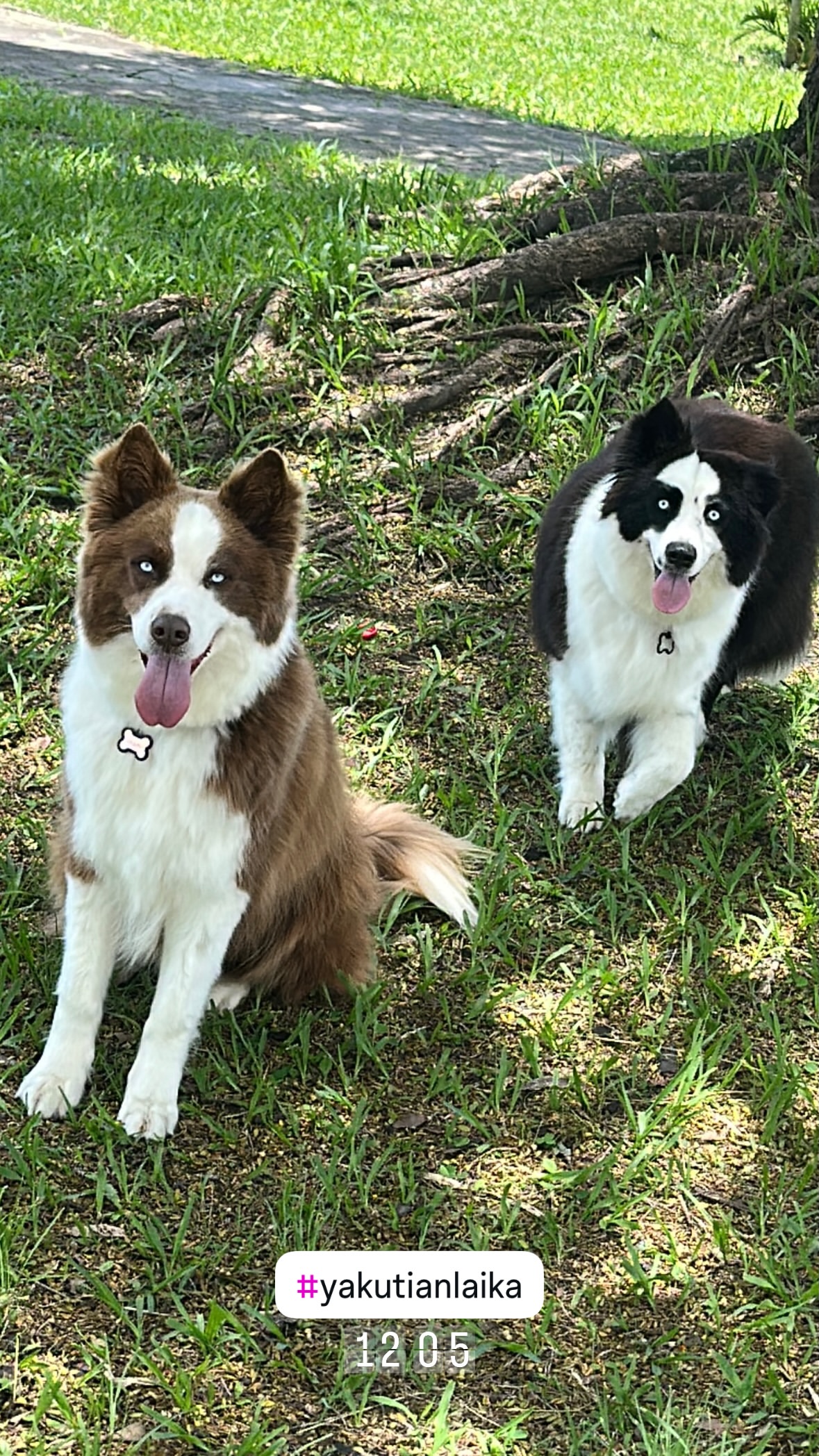 новая фото в сторис @brunosantos 25.12.2025