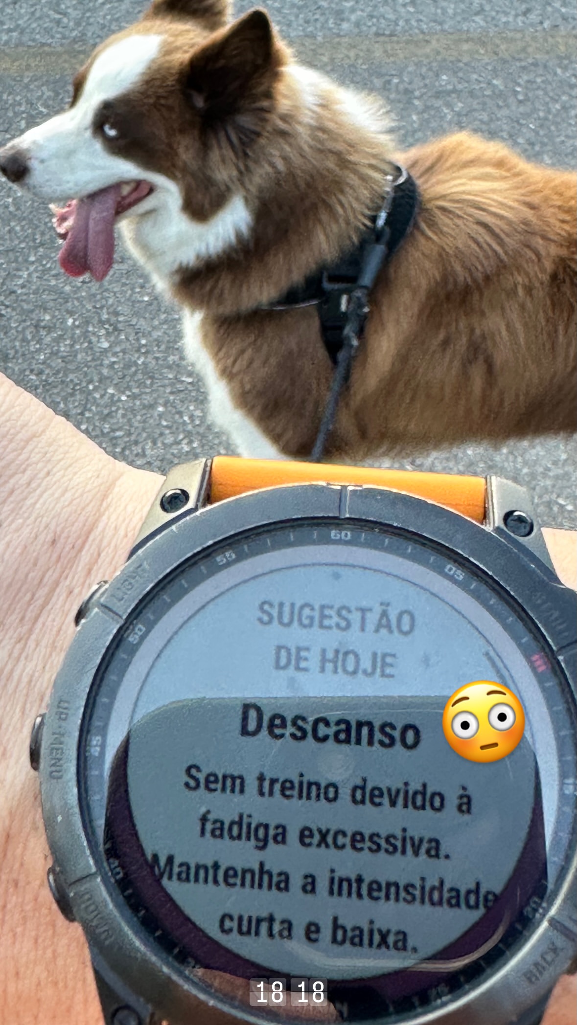 новая фото в сторис @brunosantos 25.12.2025