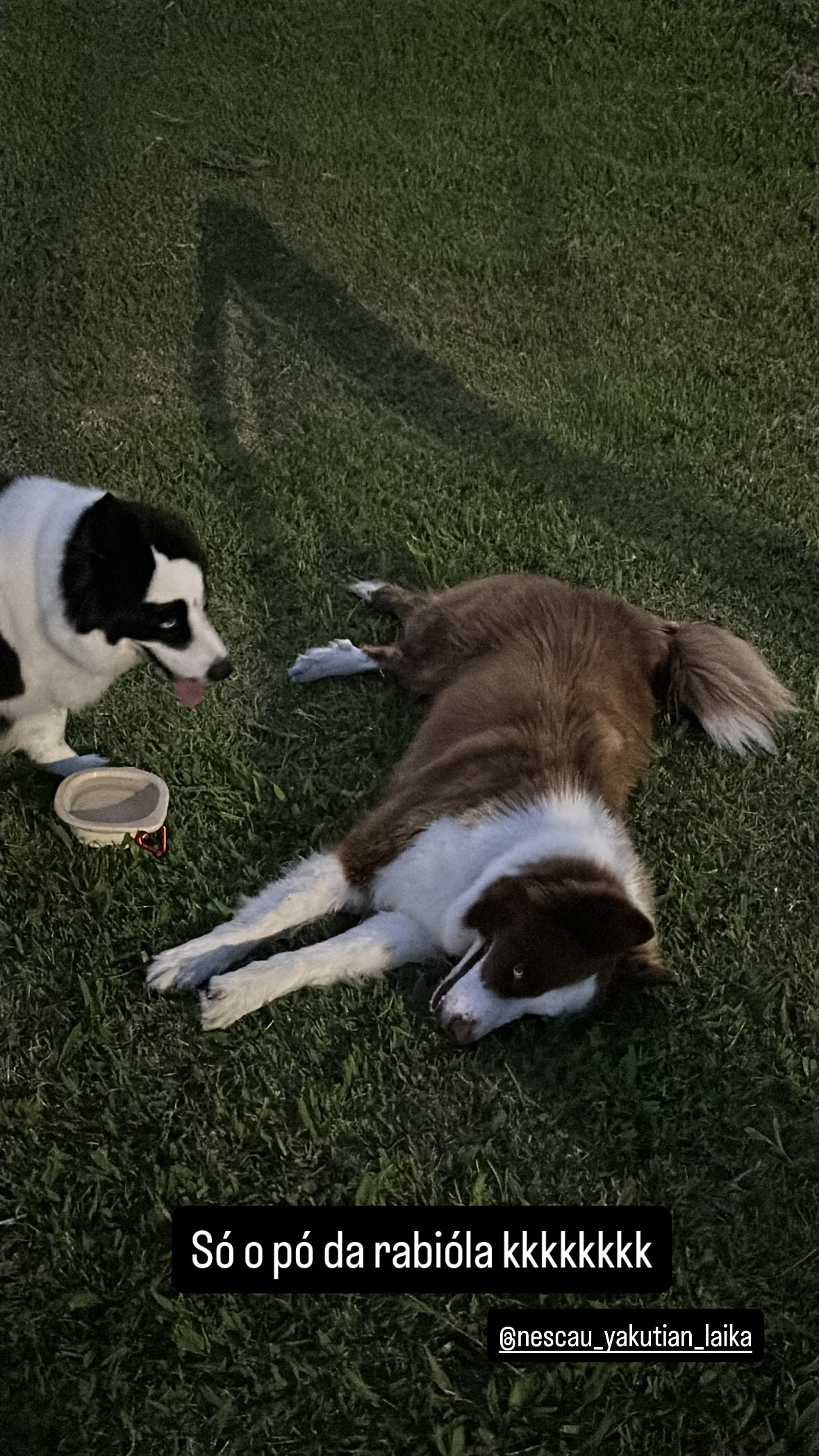 новая фото в сторис @brunosantos 25.12.2025