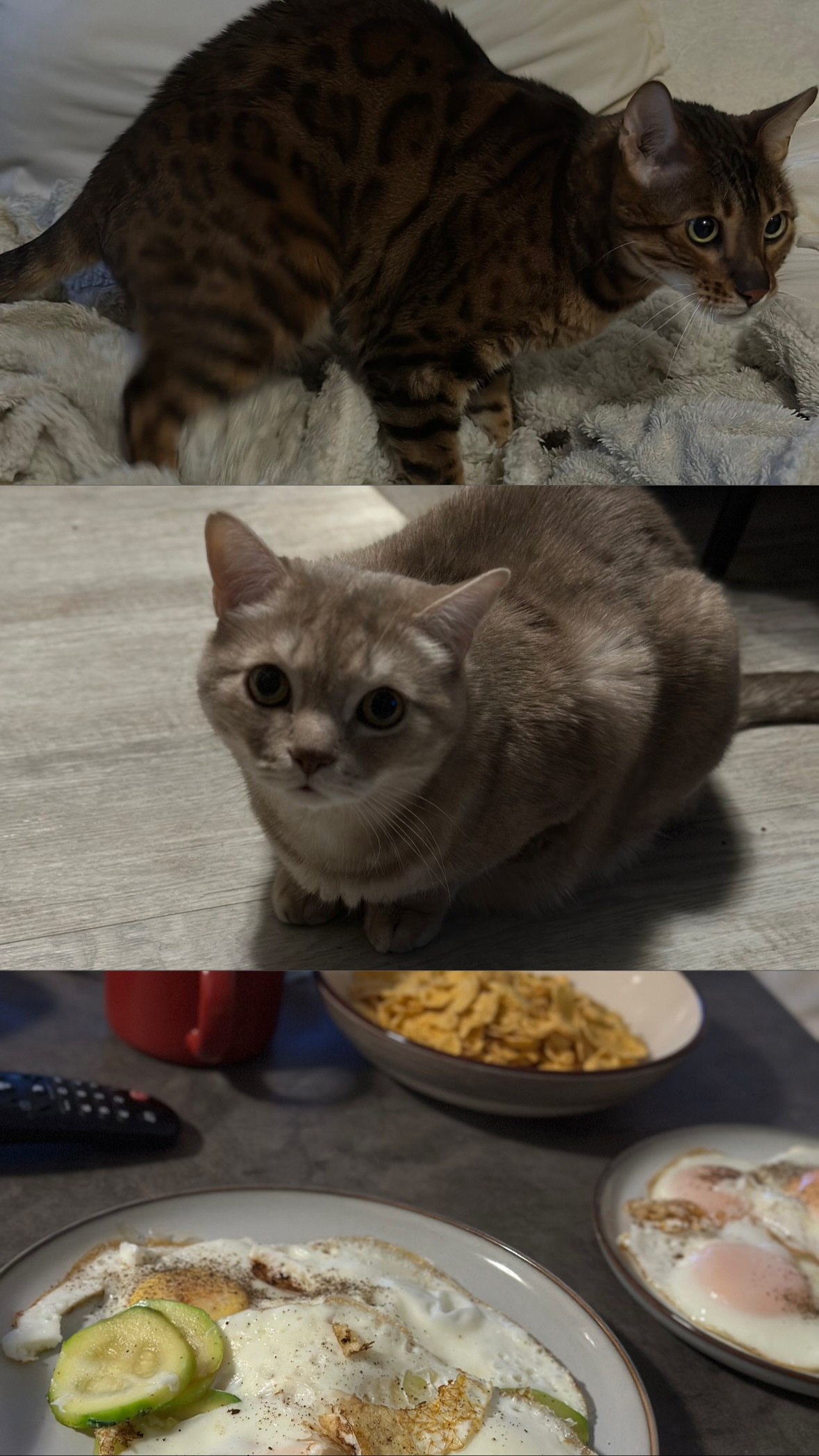 новая фото в сторис @mel_anie_180 25.12.2025