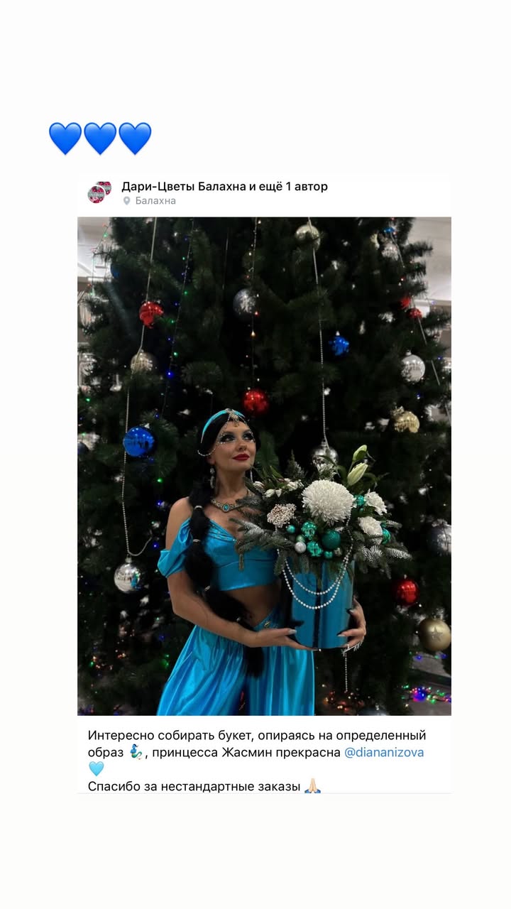 новая фото в сторис @diananizova 25.12.2025