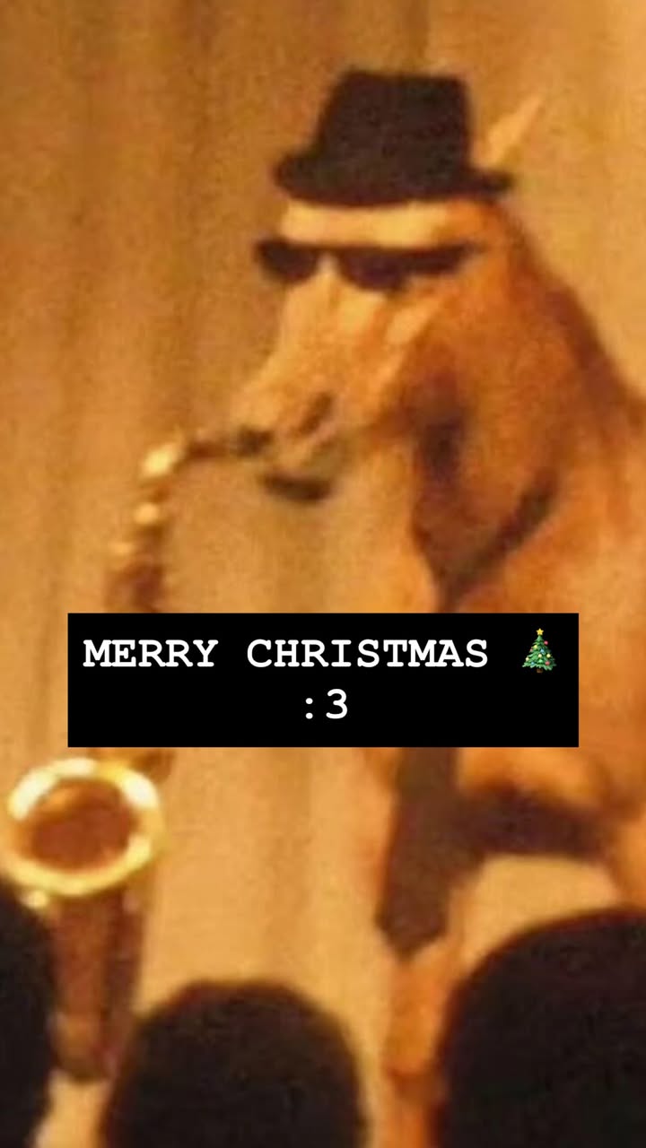 новая фото в сторис @jennalynnmeowri 26.12.2025