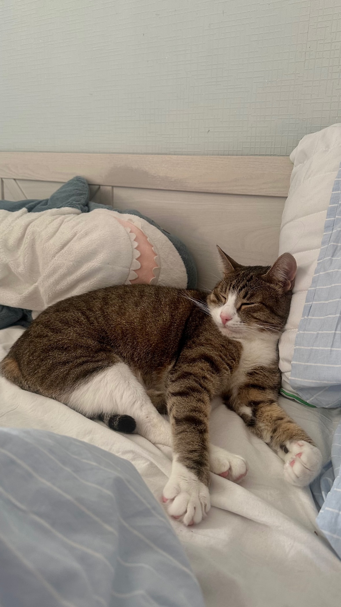 новая фото в сторис @nastyasyrchina 26.12.2025