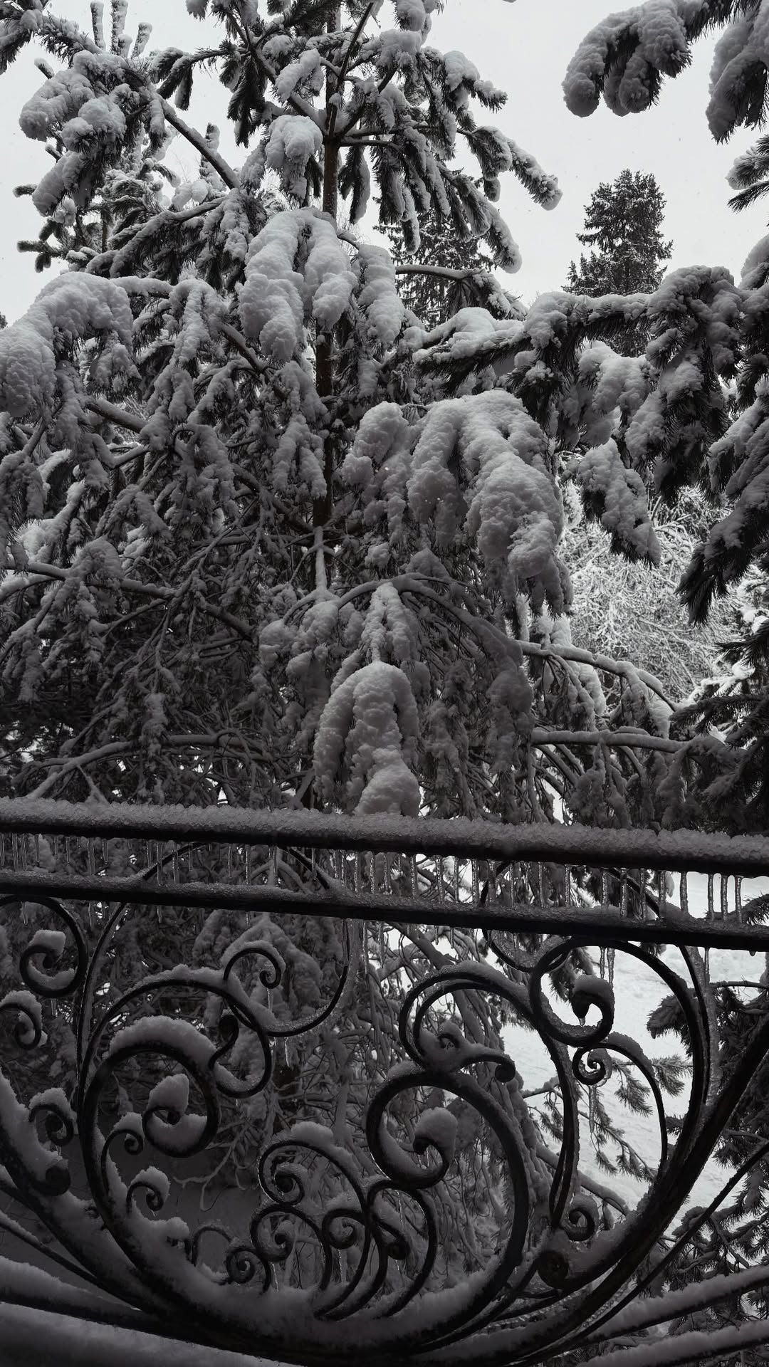 новая фото в сторис @smirnova_ksunia 26.12.2025