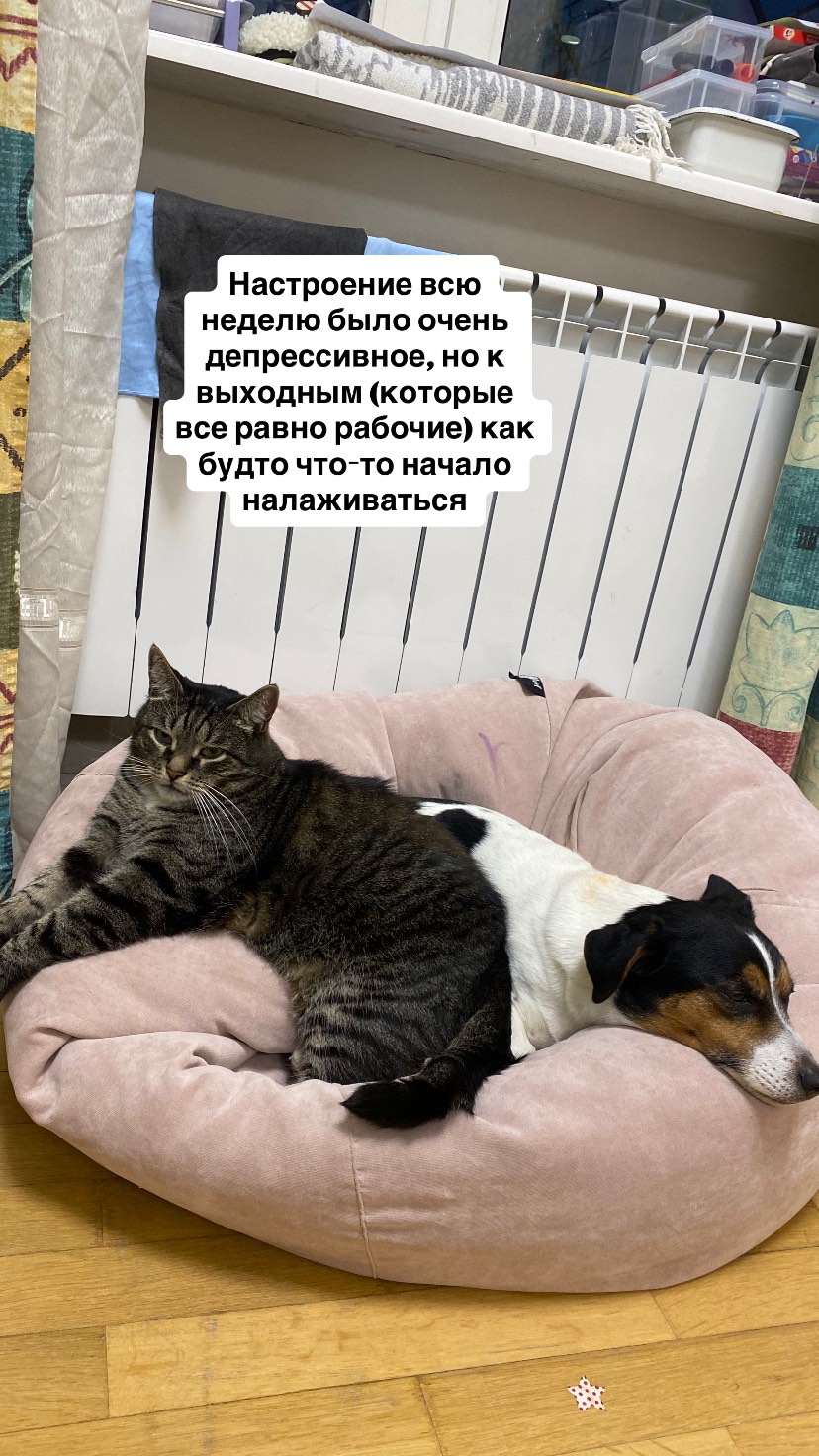 новая фото в сторис @mariyabl20 27.12.2025