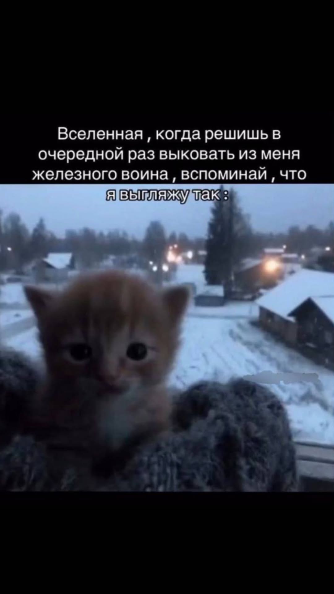 новая фото в сторис @pgsmian 27.12.2025