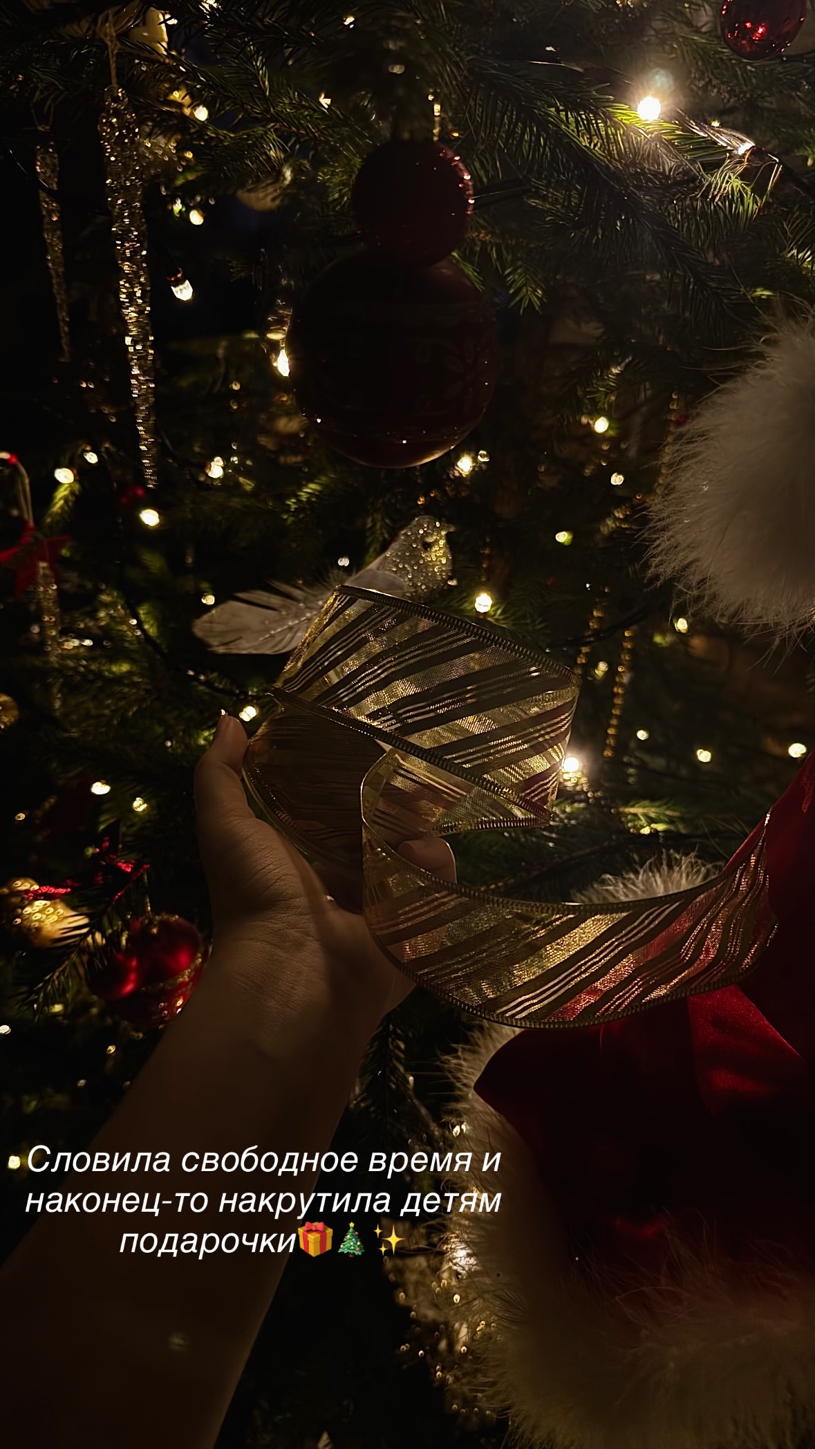 новая фото в сторис @fedorovich_kris 29.12.2025