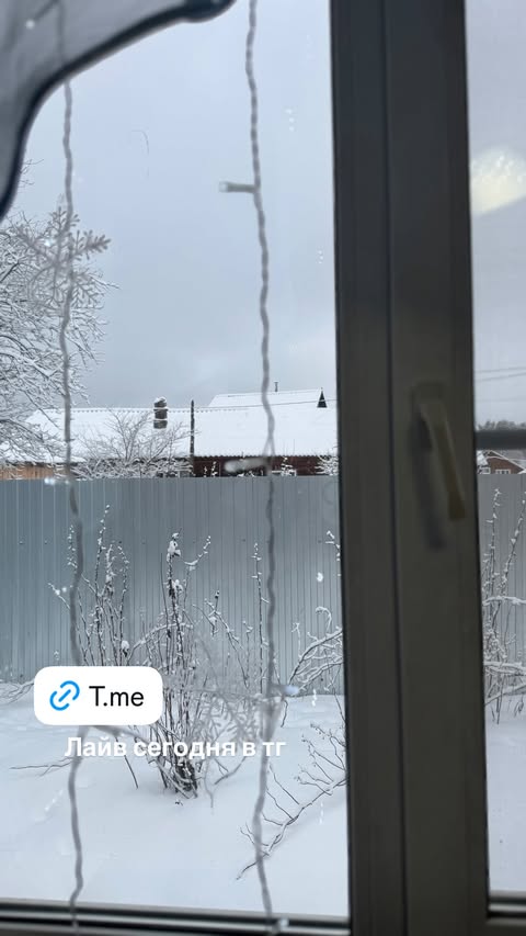 новая фото в сторис @valeriiavas1 28.12.2025