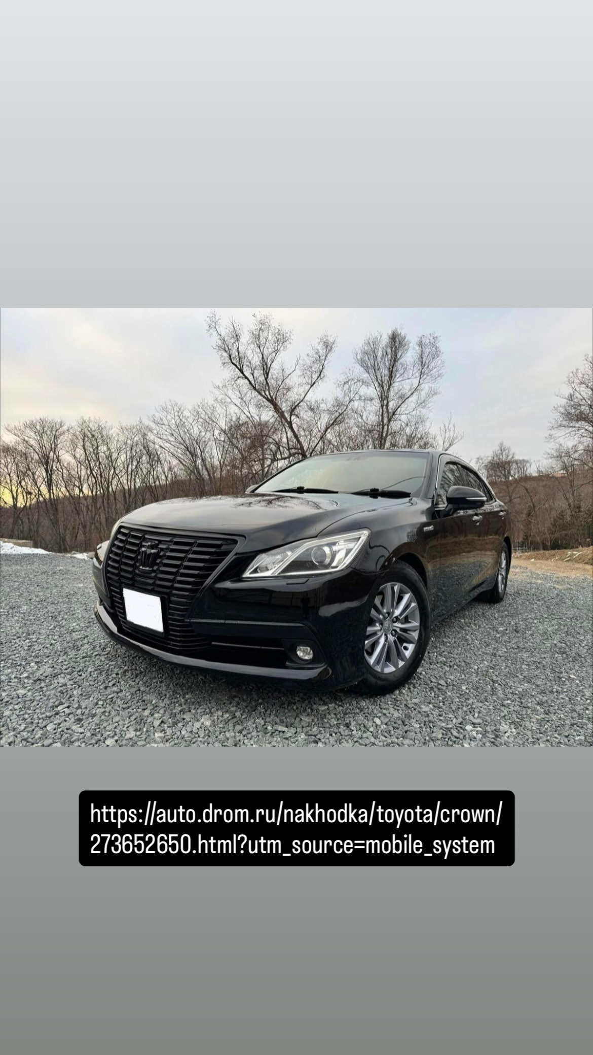 новая фото в сторис @katia_zadontseva 28.12.2025