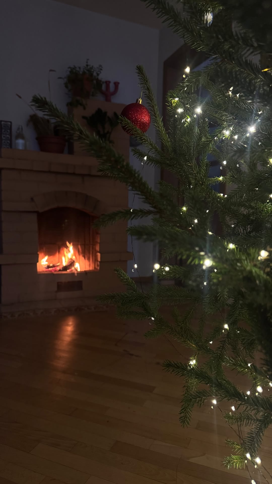 новая фото в сторис @radakaeva.fn 29.12.2025