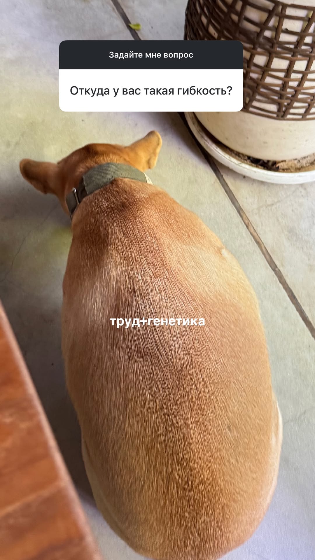 новая фото в сторис @aloisav 29.12.2025