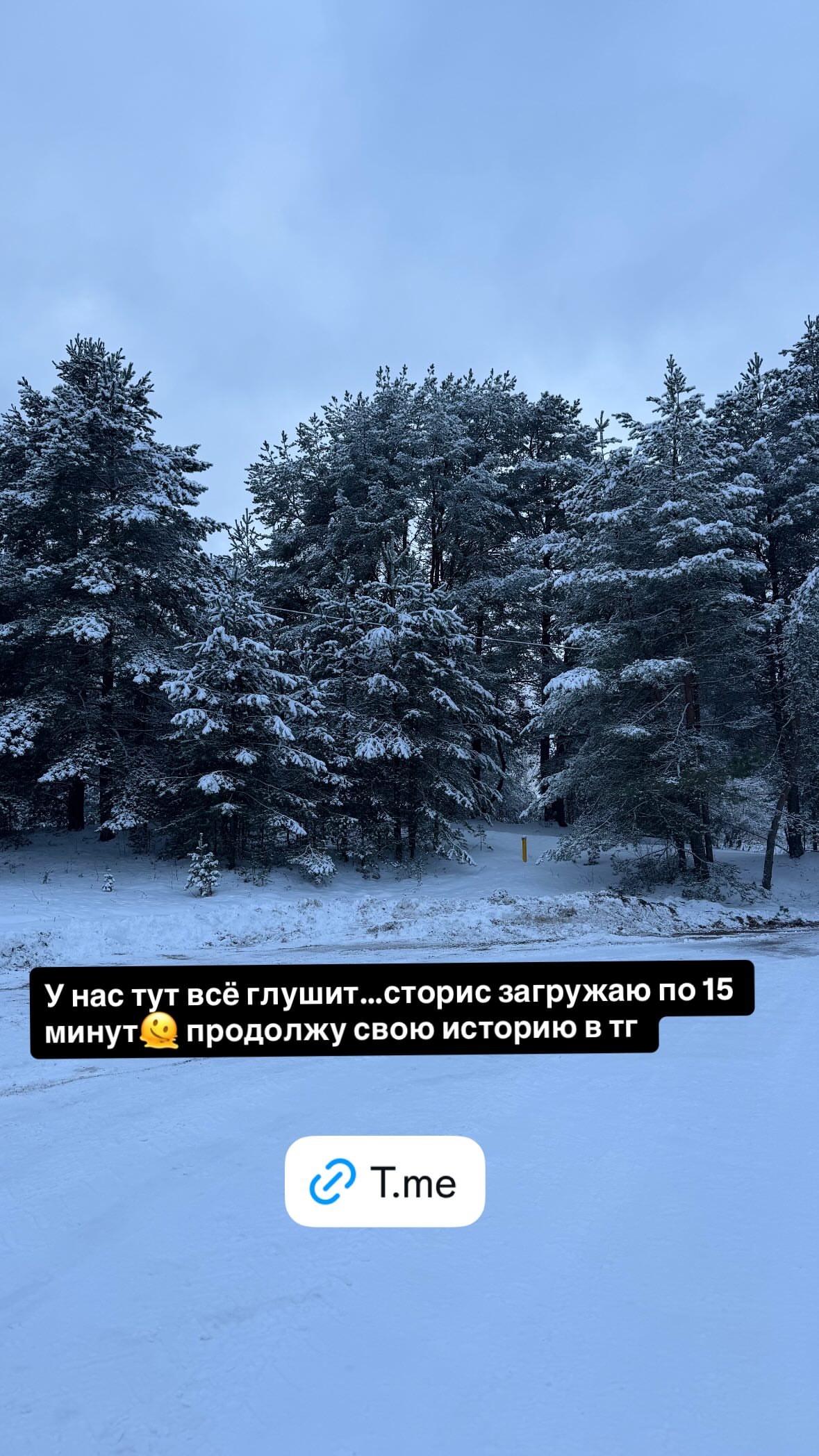 новая фото в сторис @valeriiavas1 29.12.2025