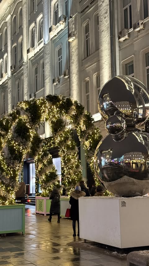 новая фото в сторис @eliselvian 29.12.2025