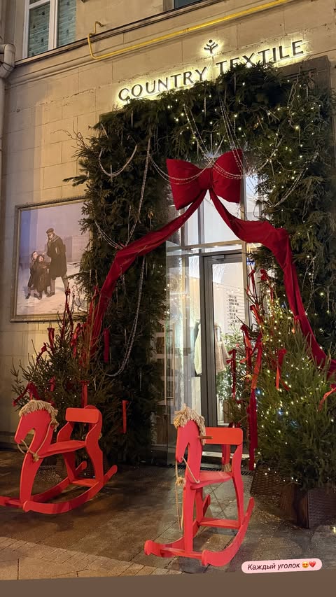 новая фото в сторис @eliselvian 29.12.2025