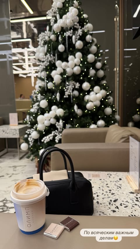 новая фото в сторис @eliselvian 29.12.2025