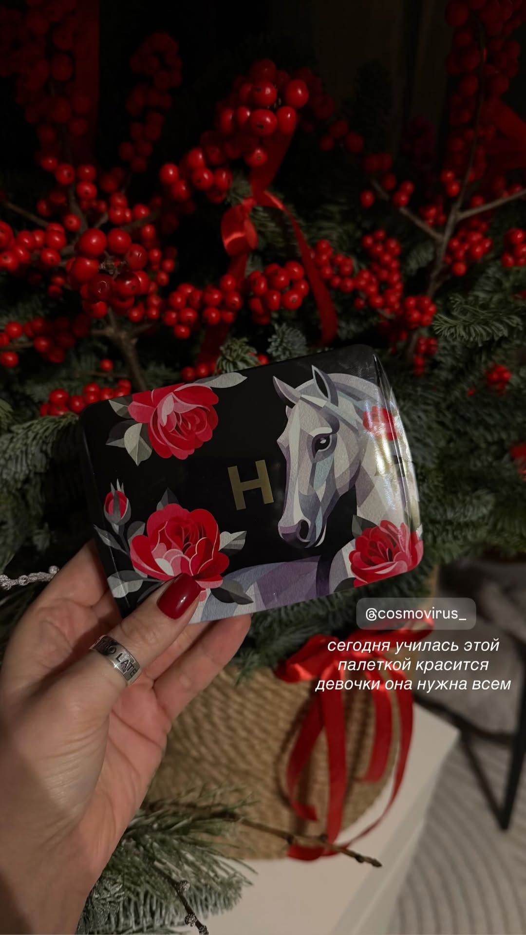 новая фото в сторис @cosmovirus_ 30.12.2025