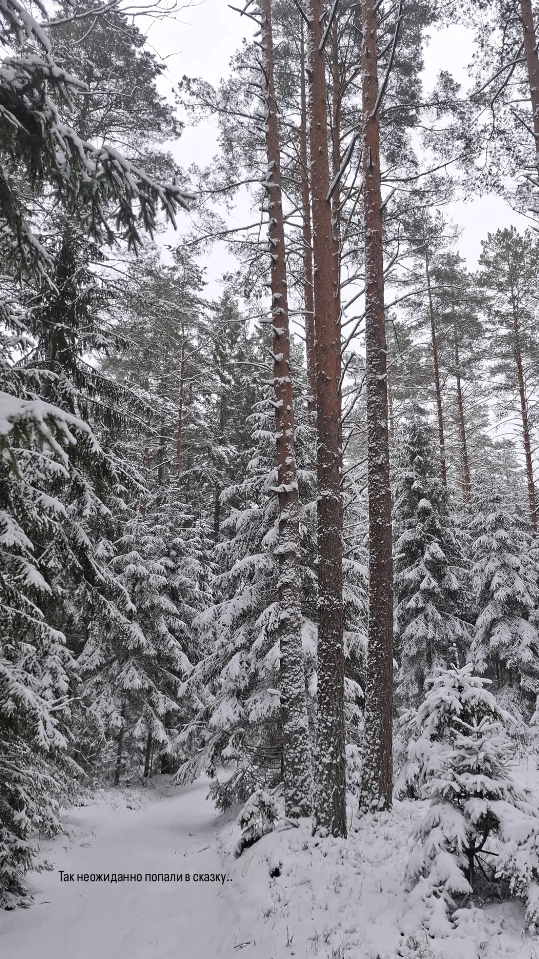 новая фото в сторис @irynaprakofyeva 30.12.2025