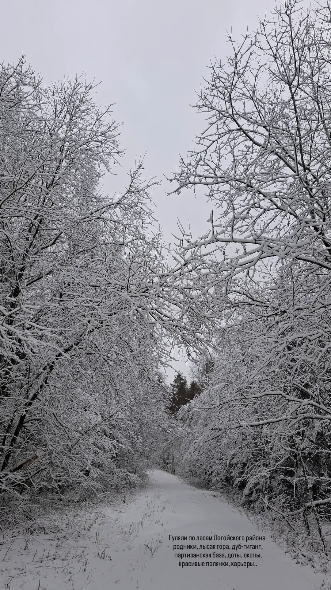 новая фото в сторис @irynaprakofyeva 30.12.2025