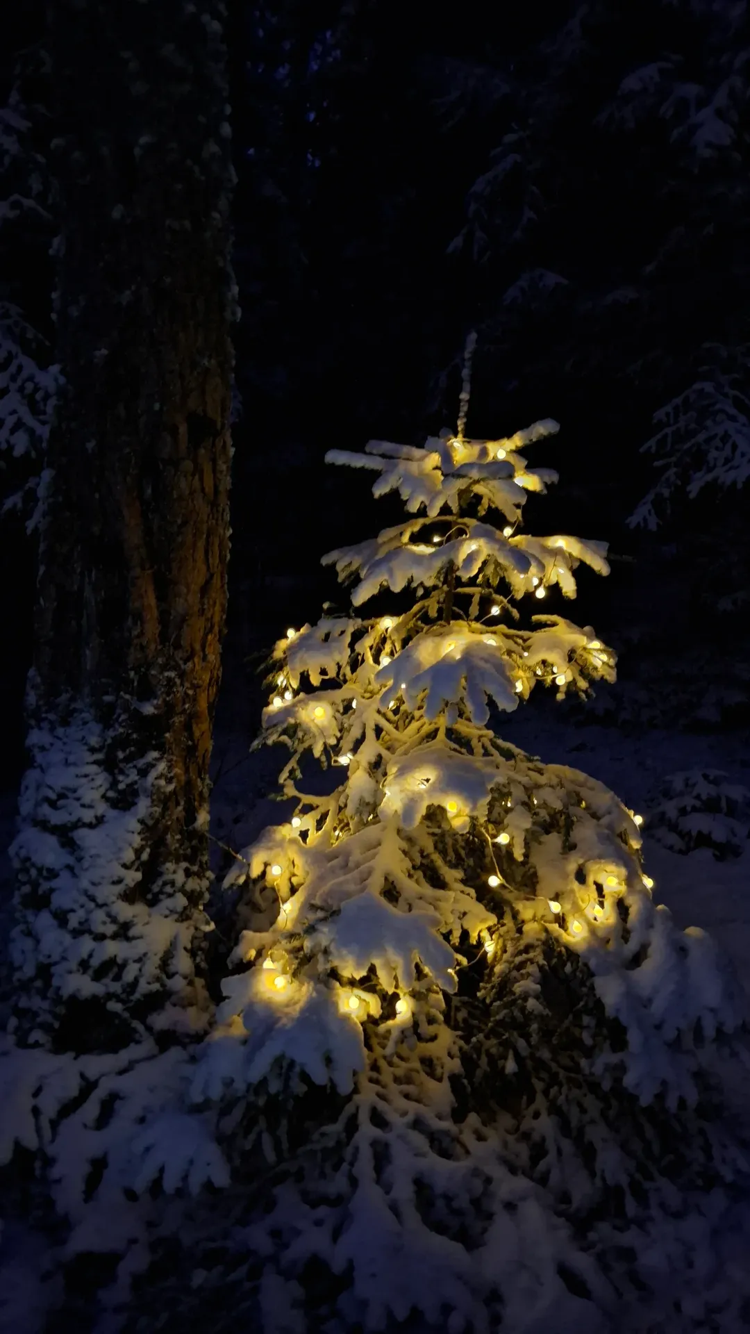 новая фото в сторис @irynaprakofyeva 30.12.2025