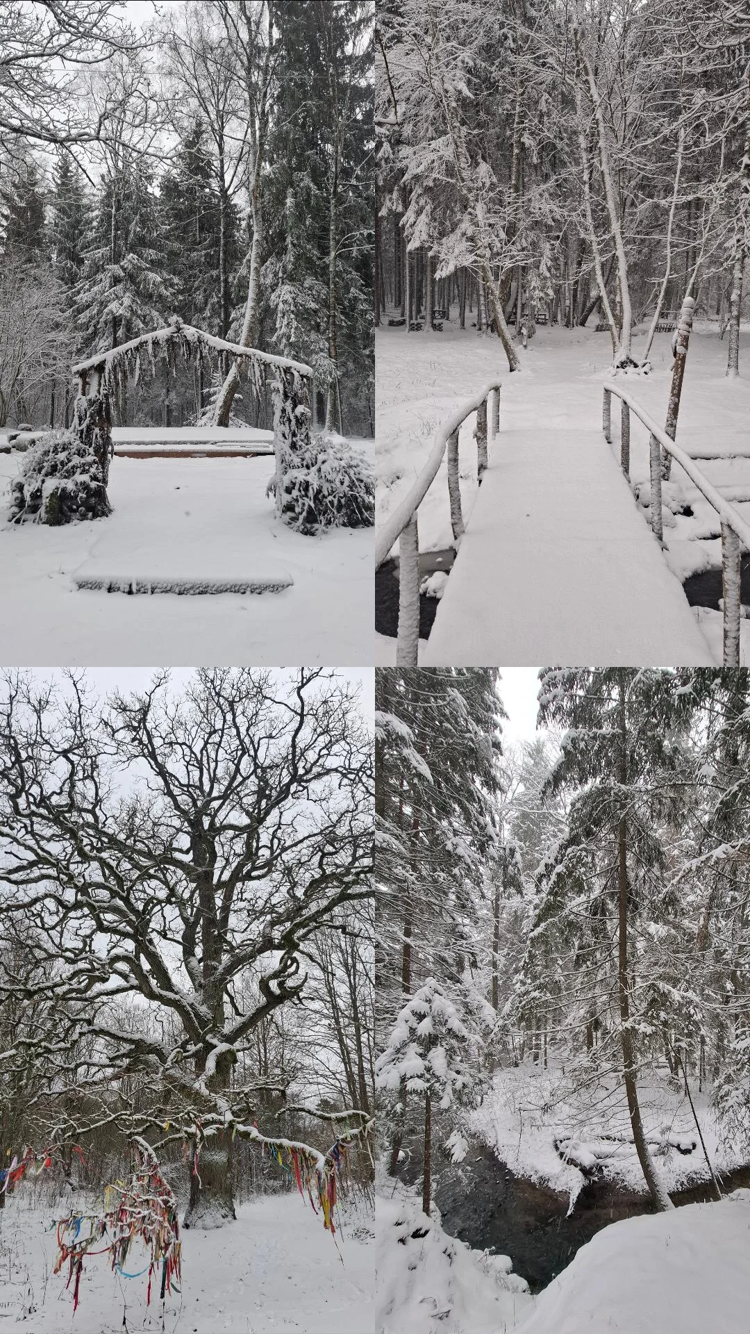 новая фото в сторис @irynaprakofyeva 30.12.2025