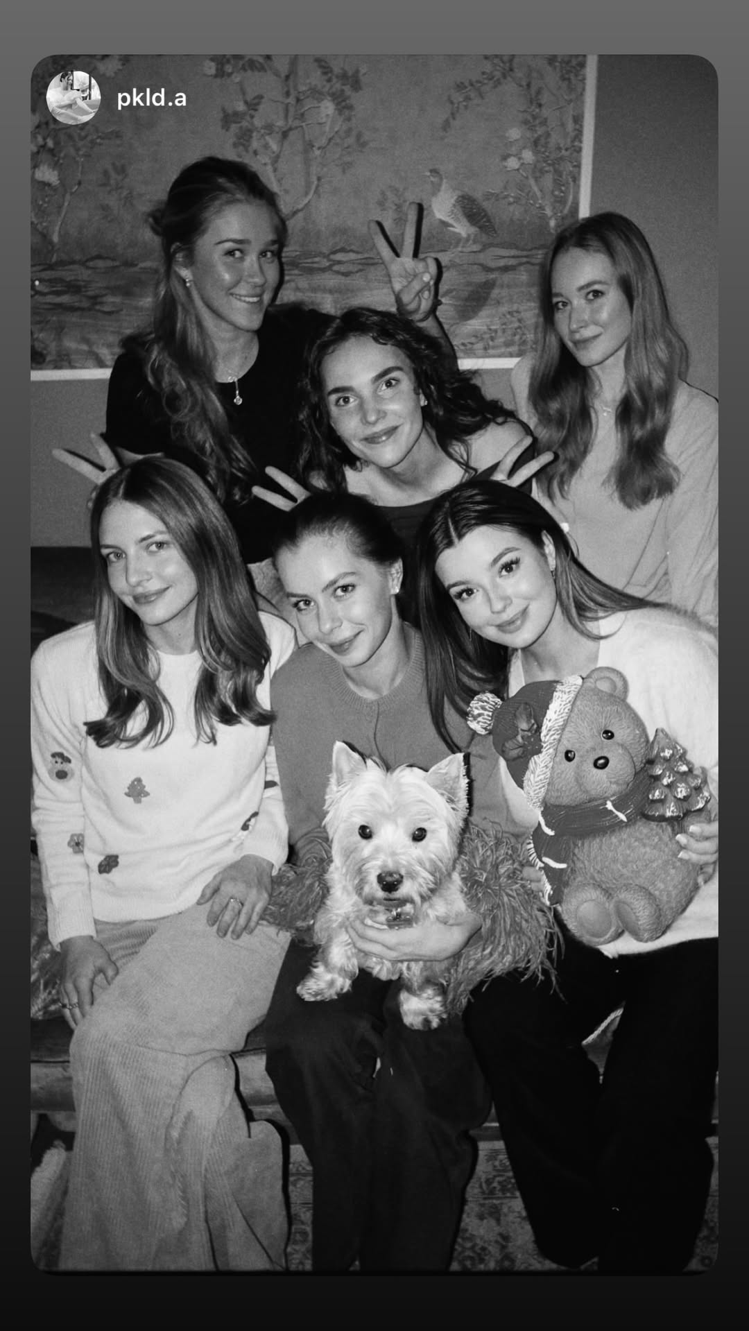 новая фото в сторис @strizs 31.12.2025